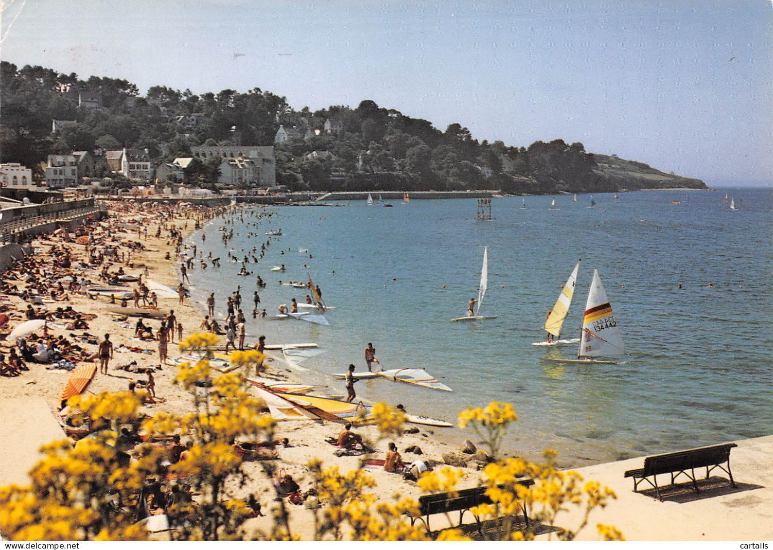 29-DOUARNENEZ TREBOUL-N°3797-B/0151 - Douarnenez