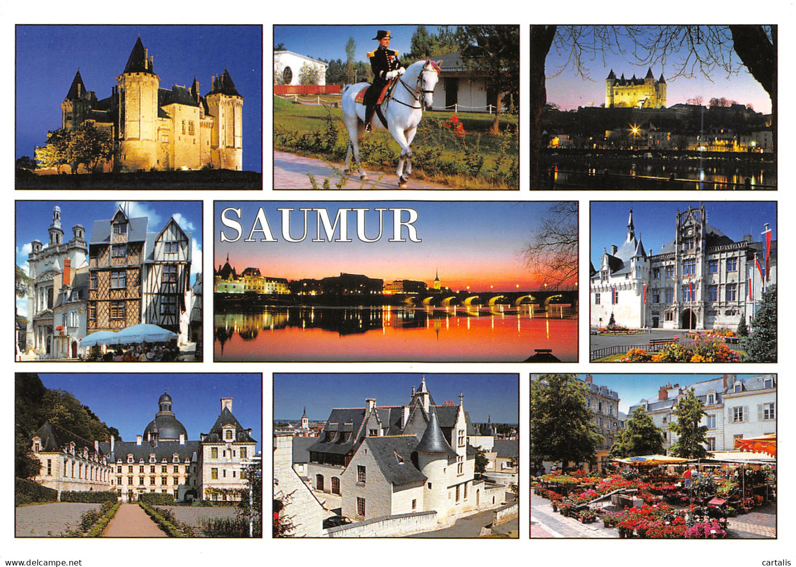 49-SAUMUR-N°3797-A/0313 - Saumur