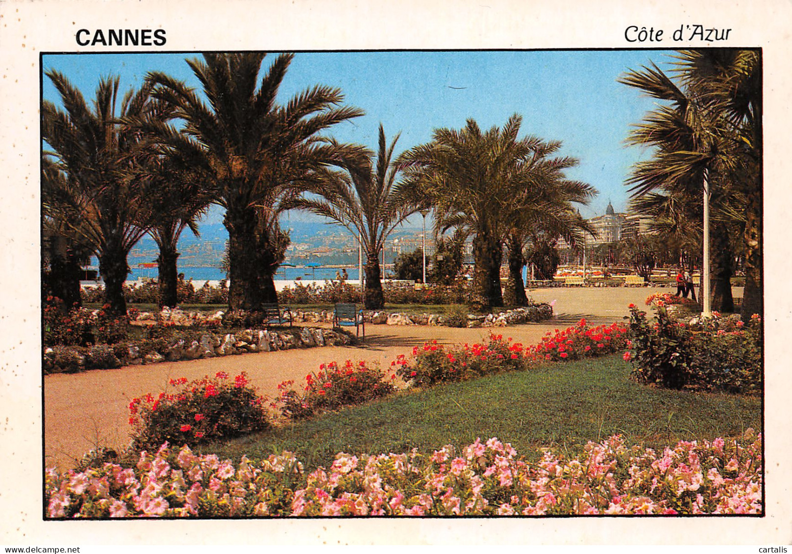 06-CANNES-N°3798-A/0223 - Cannes