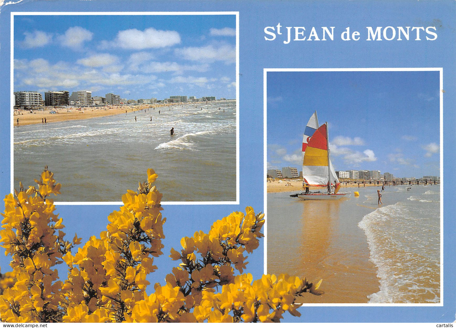 85-SAINT JEAN DE MONTS-N°3797-D/0373 - Saint Jean De Monts