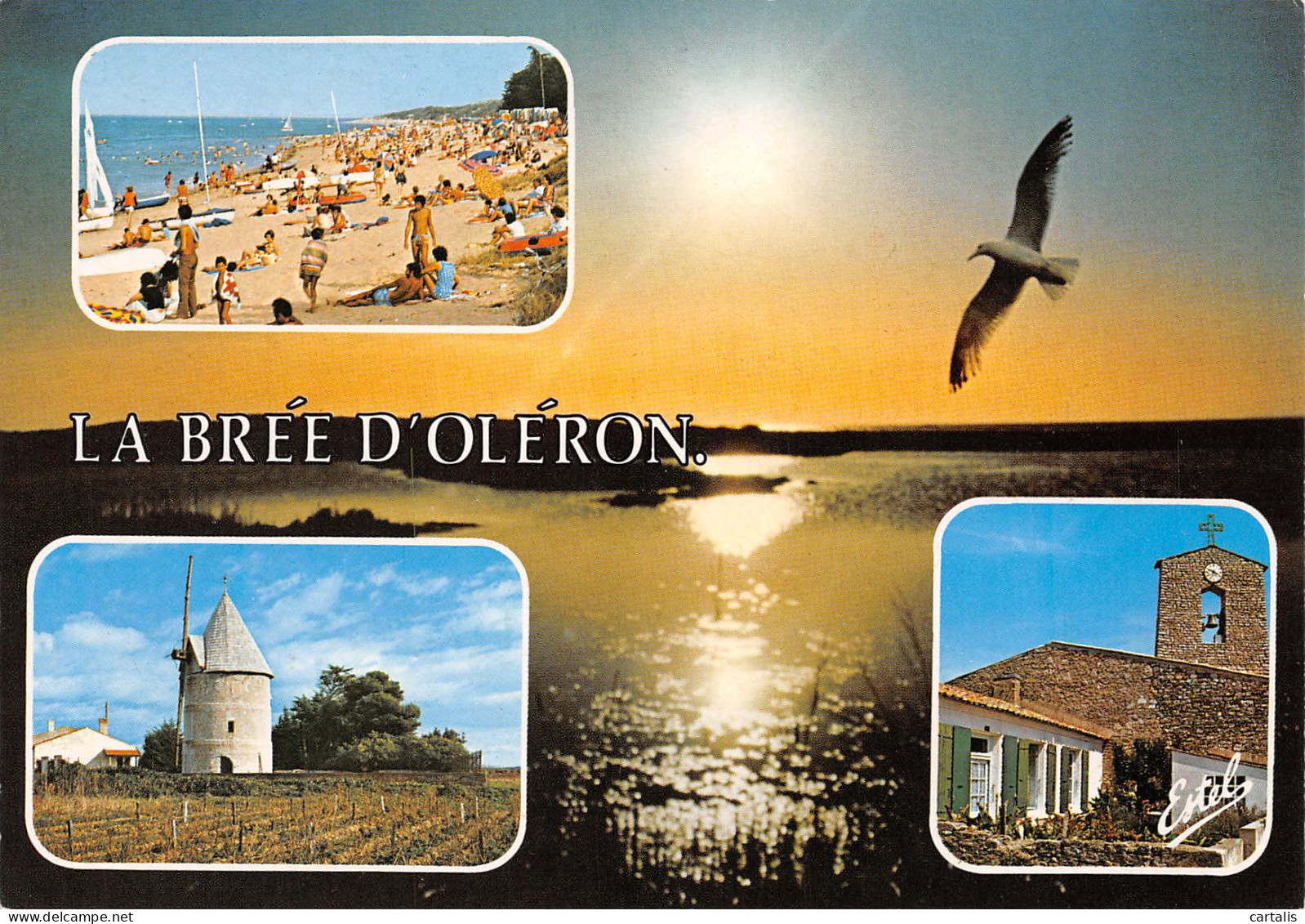 17-ILE D OLERON-N°3798-D/0125 - Ile D'Oléron