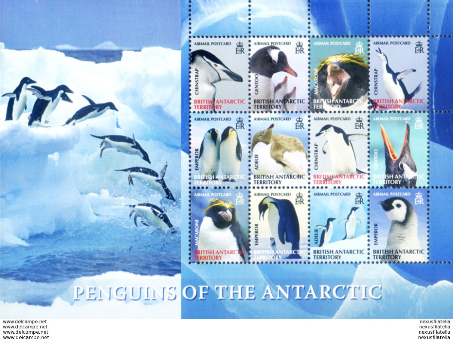 Fauna. Pinguini 2008. - Altri & Non Classificati