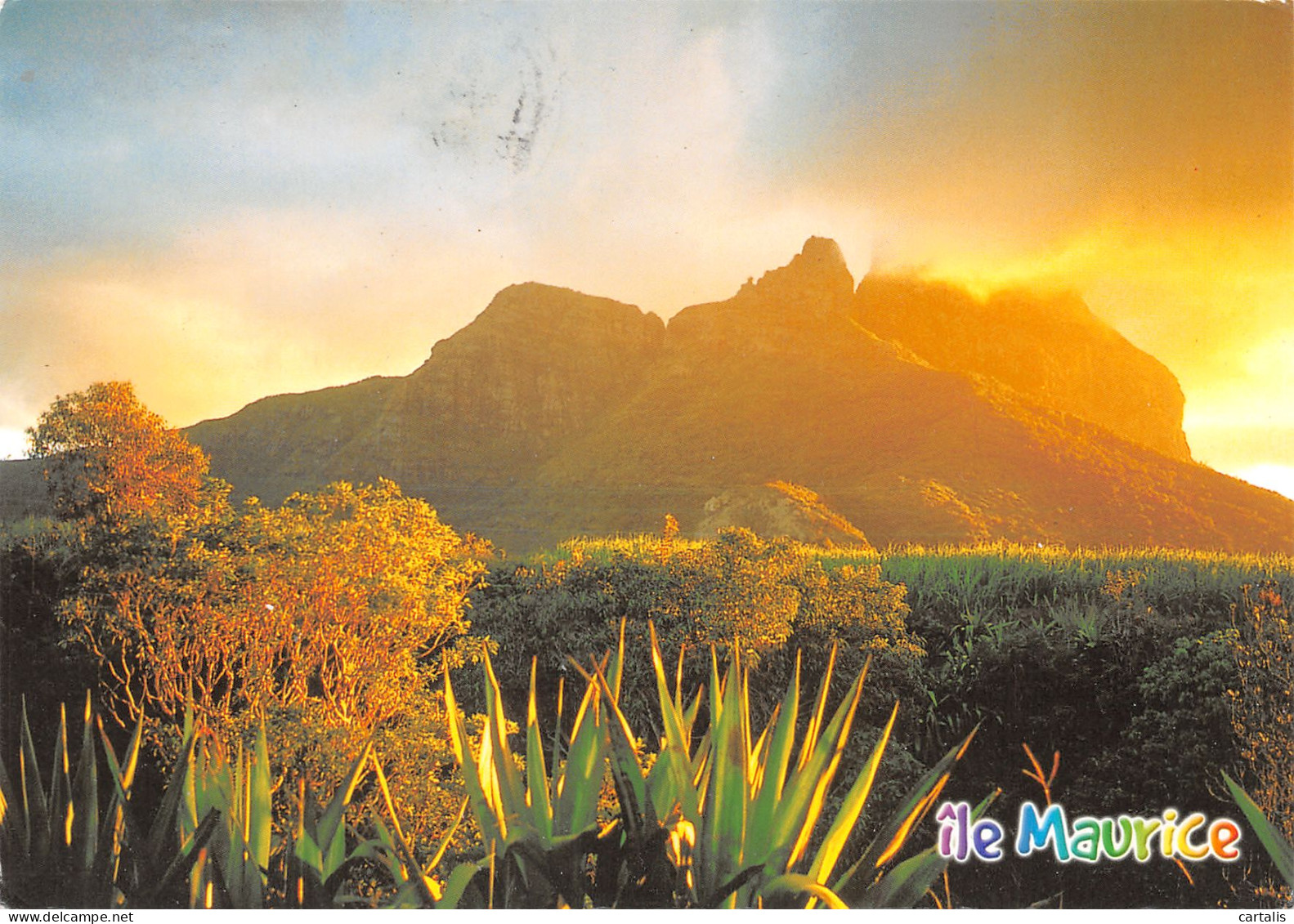 MAU-ILE MAURICE-N°3798-B/0321 - Mauritius