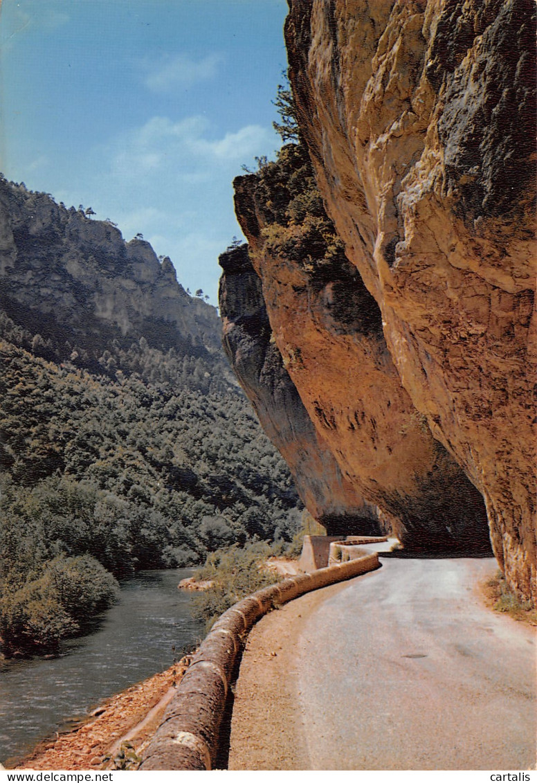 48-LES GORGES DU TARN-N°3798-B/0261 - Autres & Non Classés