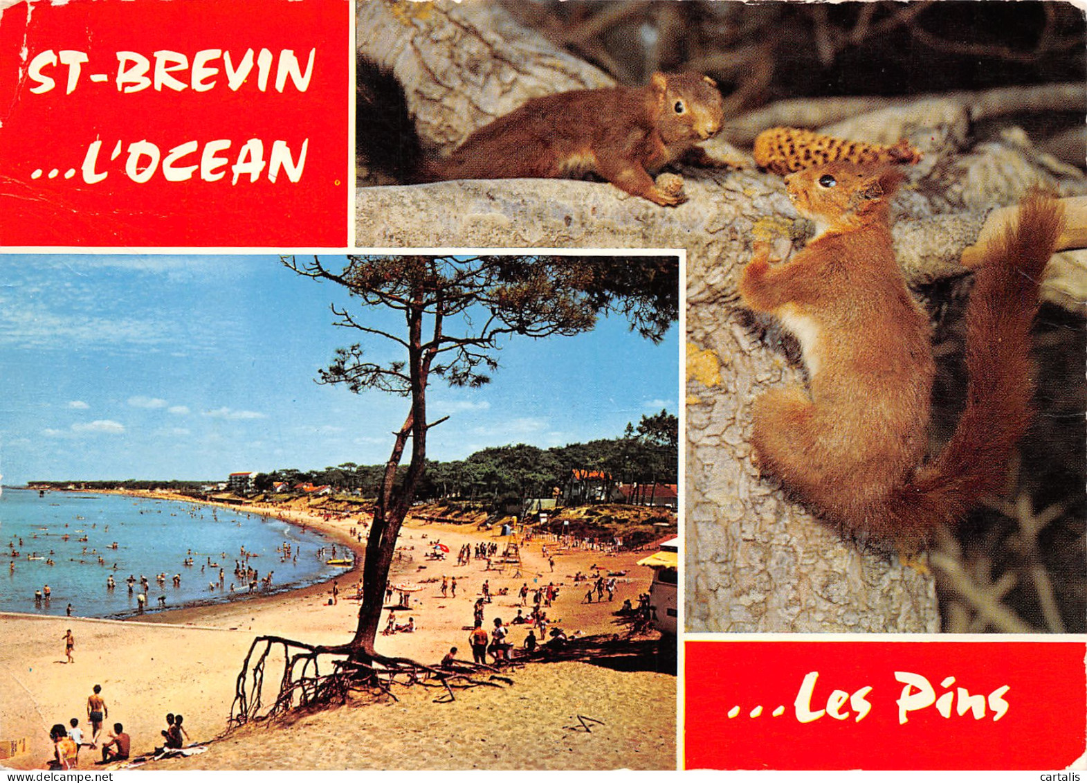 44-SAINT BREVIN-N°3798-B/0007 - Saint-Brevin-l'Océan