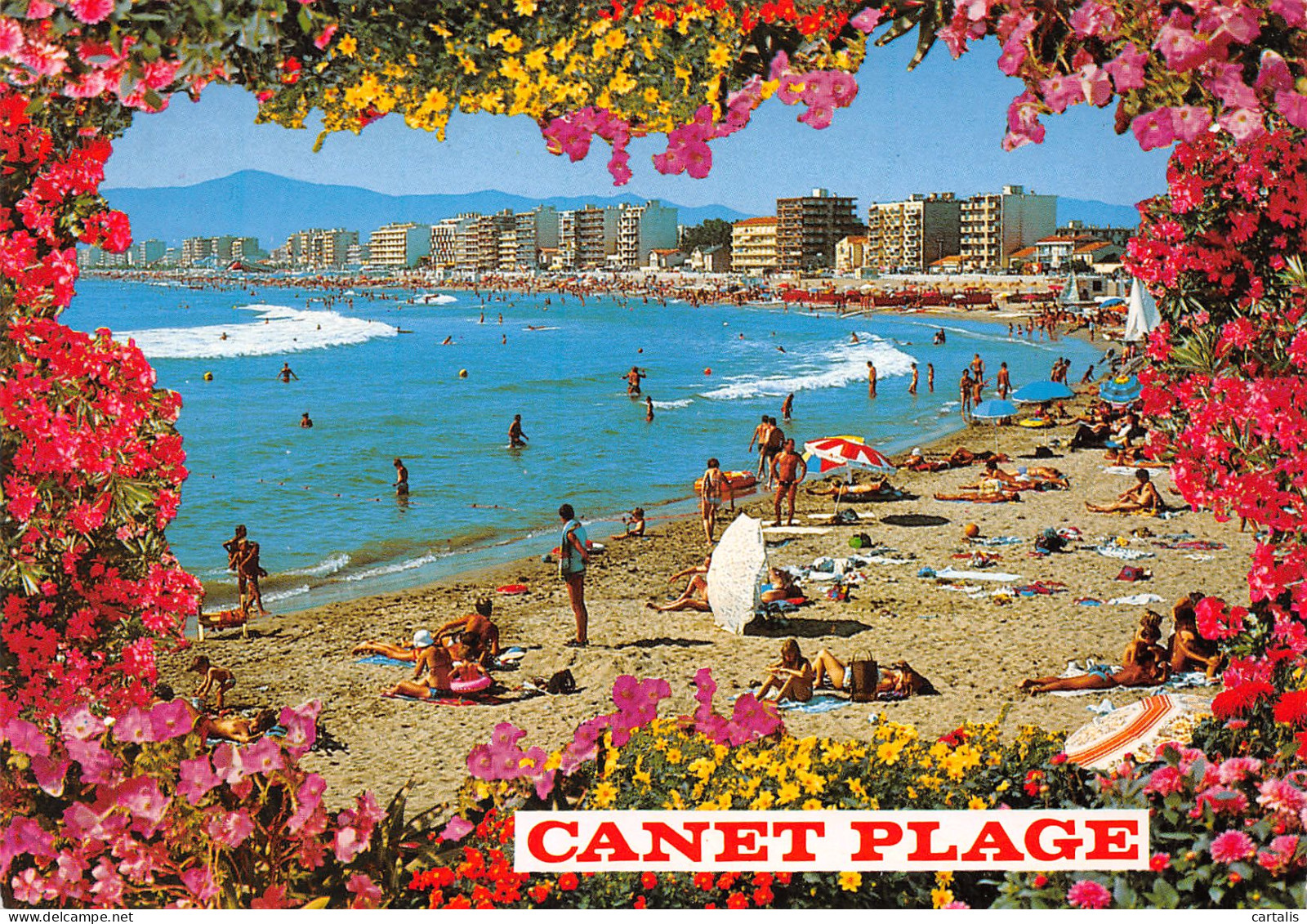 66-CANET PLAGE-N°3798-A/0363 - Canet Plage