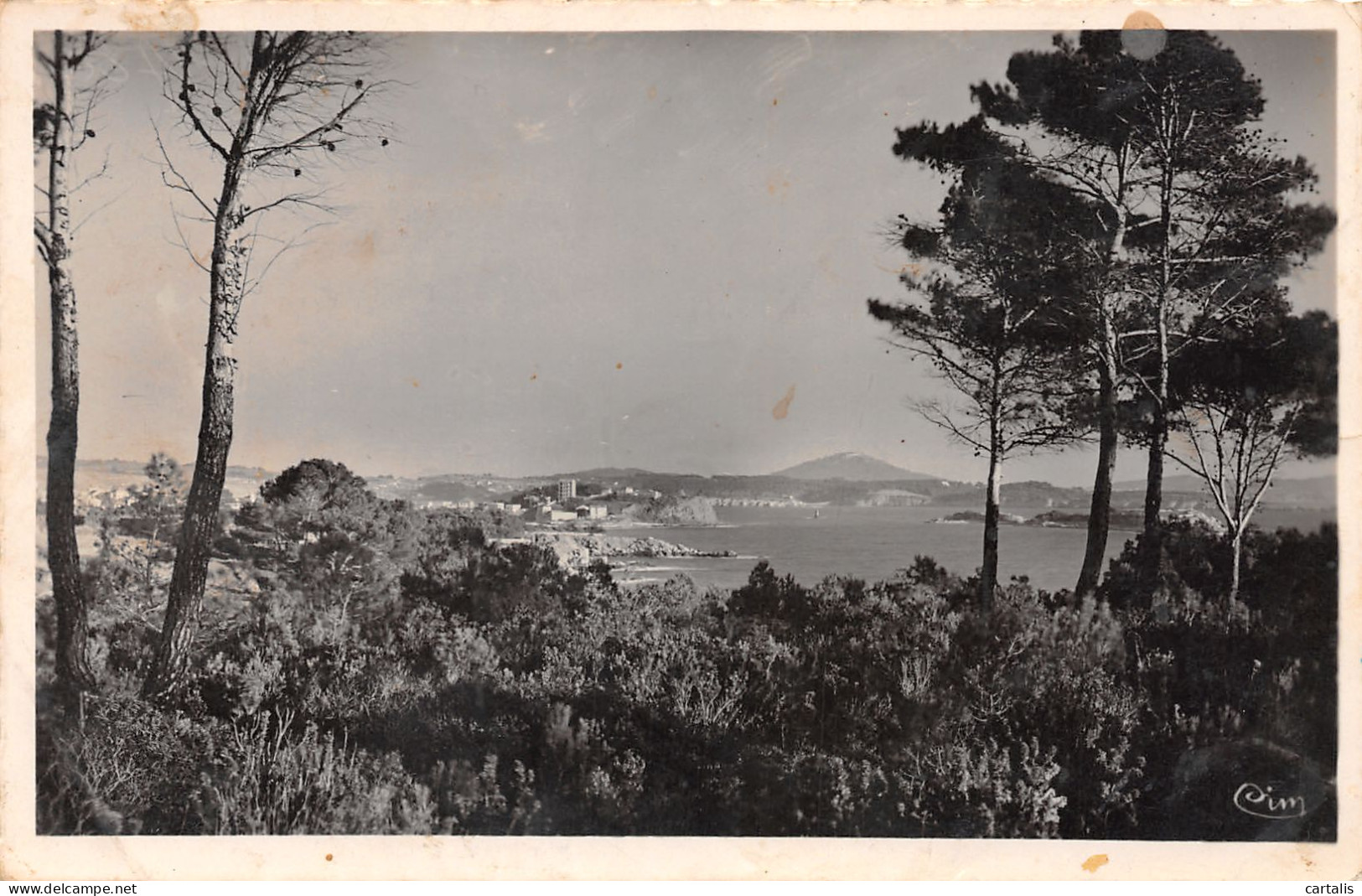 83-BANDOL-N°3798-E/0285 - Bandol