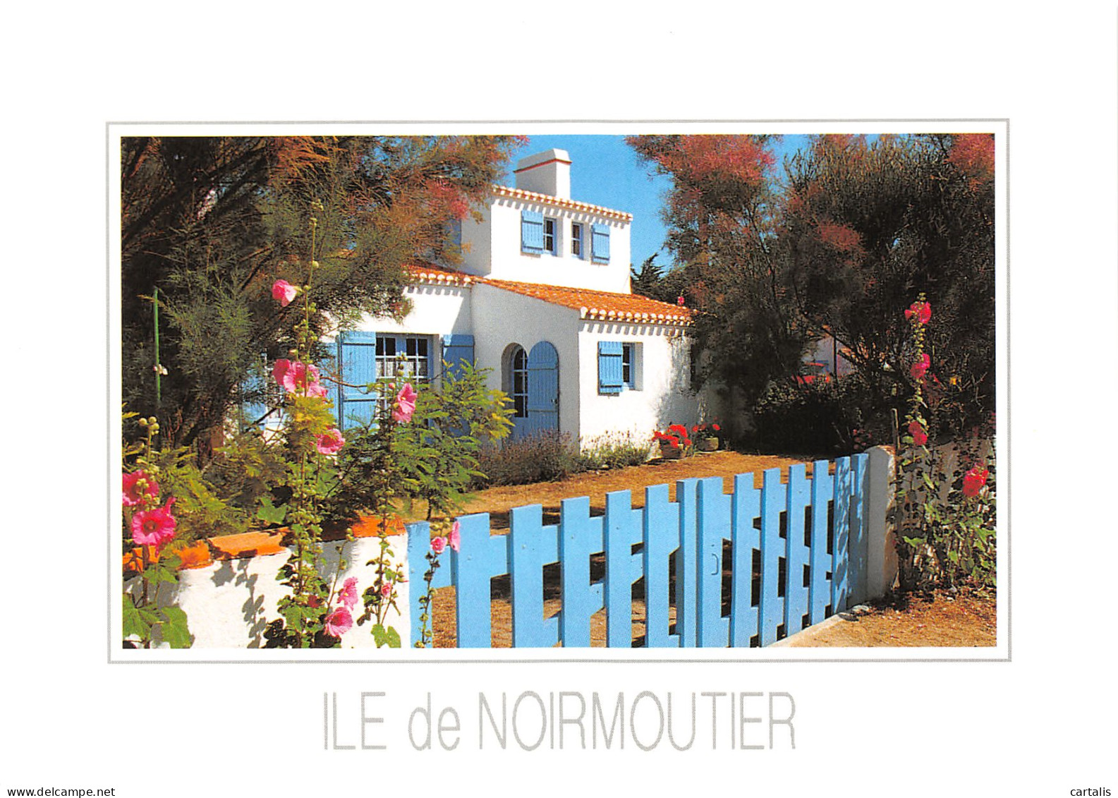 85-ILE DE NOIRMOUTIER-N°3799-B/0221 - Ile De Noirmoutier