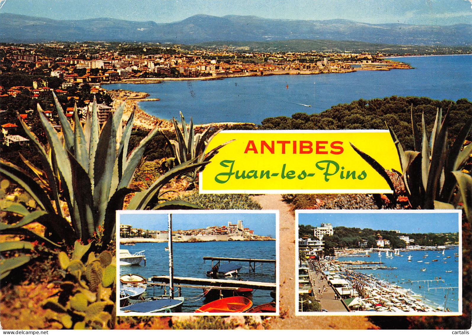 06-ANTIBES JUAN LES PINS-N°3800-A/0165 - Other & Unclassified