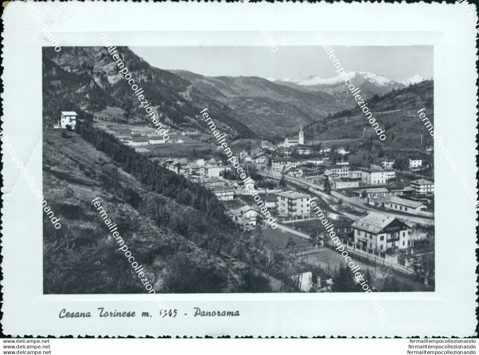 Bf110 Cartolina Cesana Torinese Panorama Provincia Di Torino - Autres & Non Classés