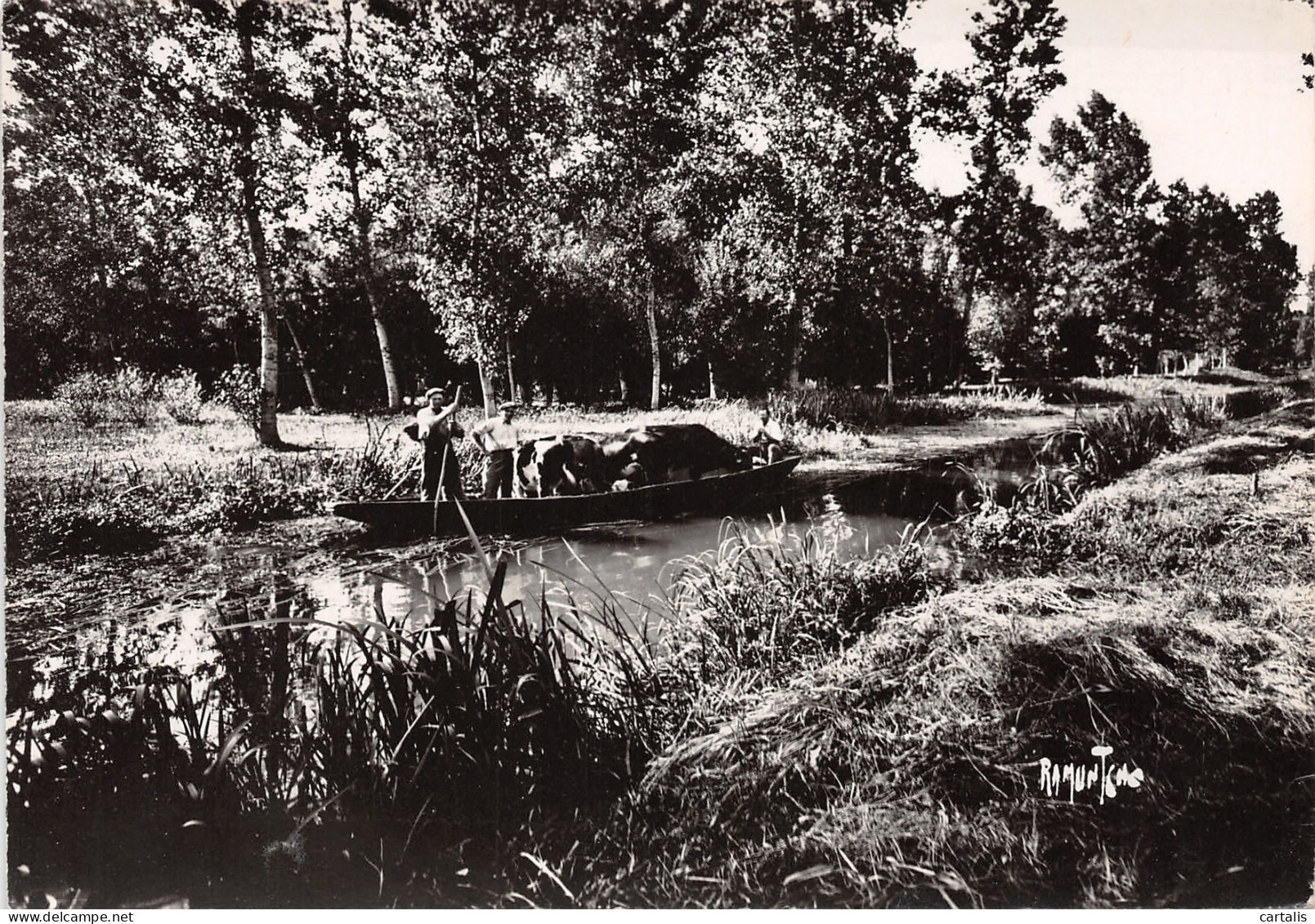 79-LE MARAIS POITEVIN-N°3799-D/0381 - Autres & Non Classés