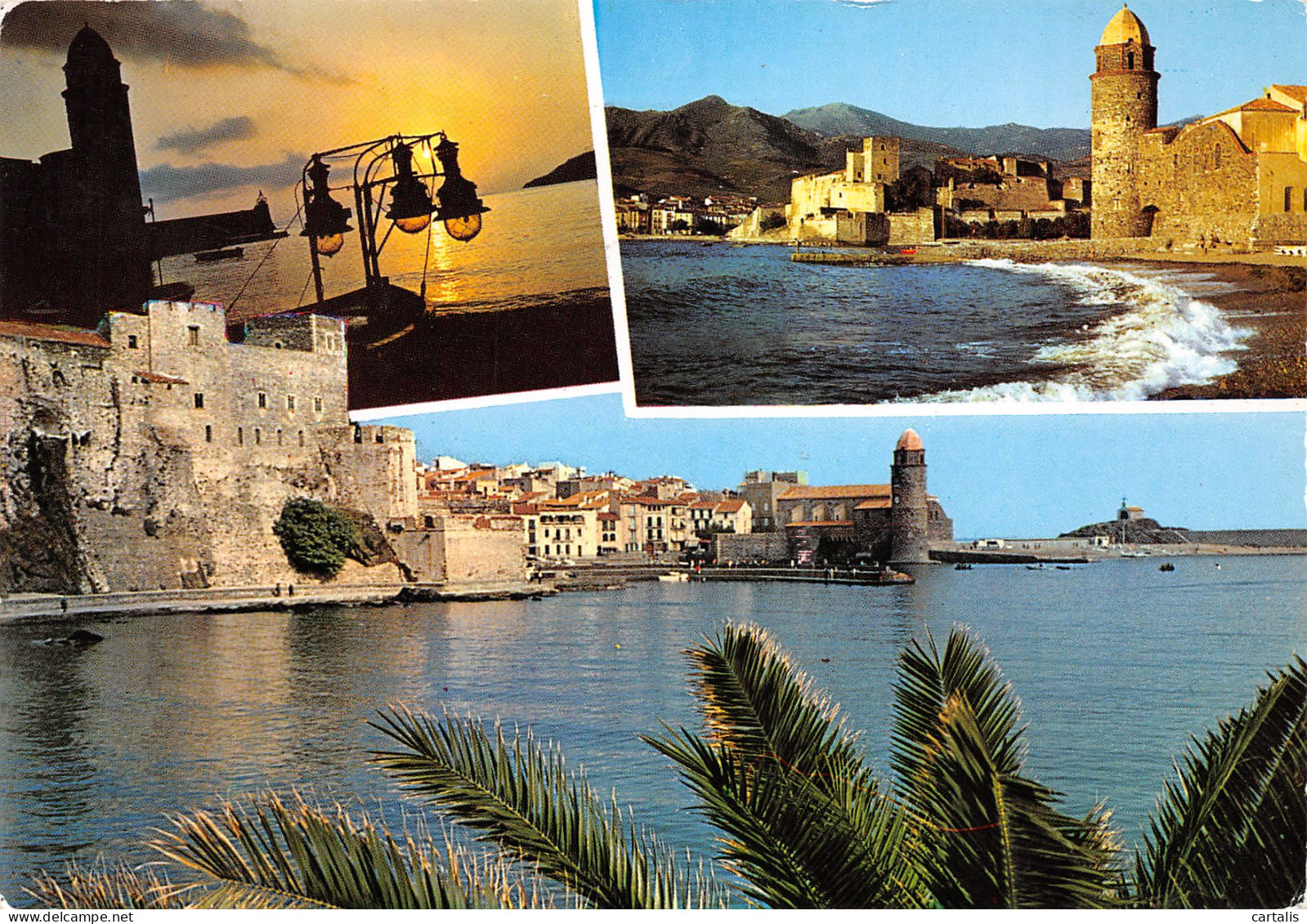 66-COLLIOURE-N°3800-C/0237 - Collioure