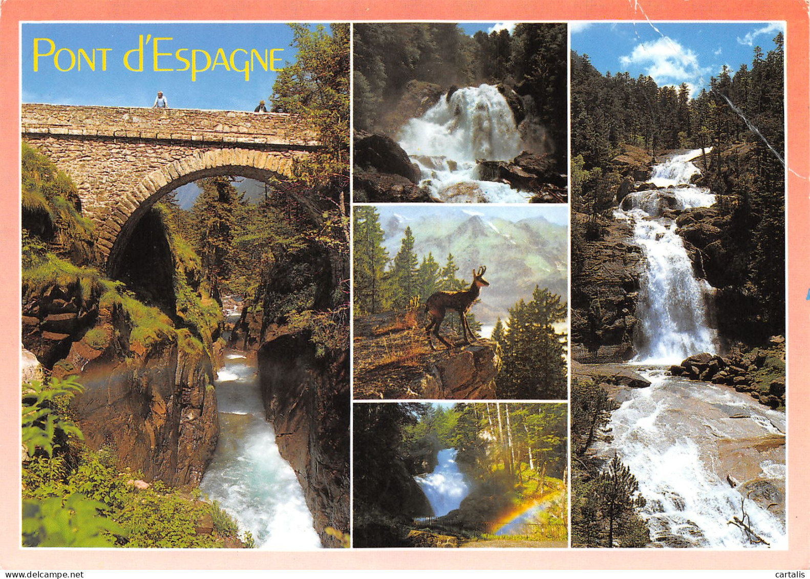 65-CAUTERETS-N°3800-C/0025 - Cauterets