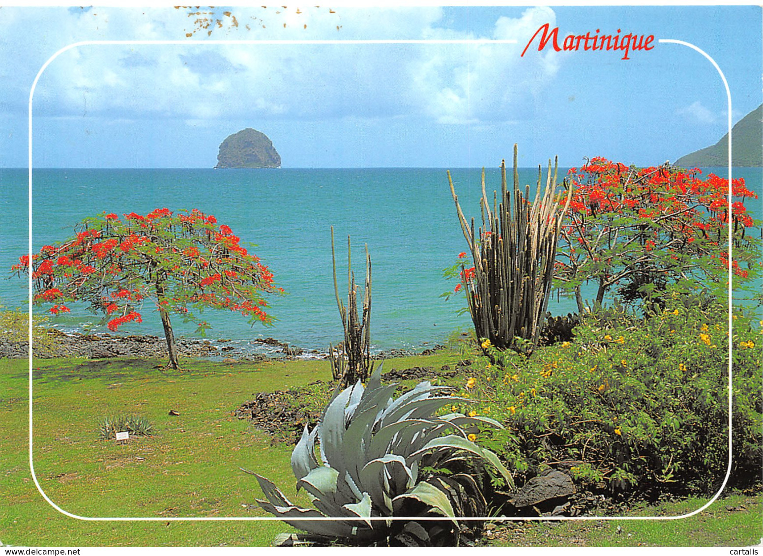 972-MARTINIQUE-N°3801-A/0179 - Other & Unclassified