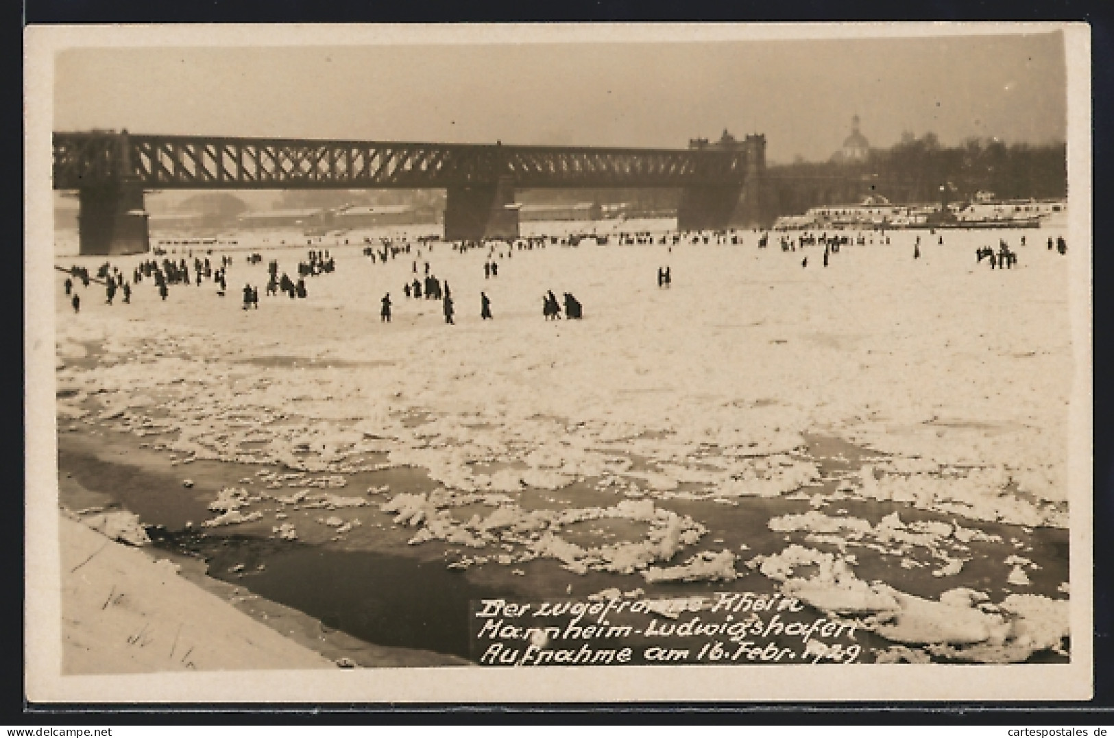 Foto-AK Ludwigshafen / Rhein, 1929, Vereister Rhein  - Überschwemmungen