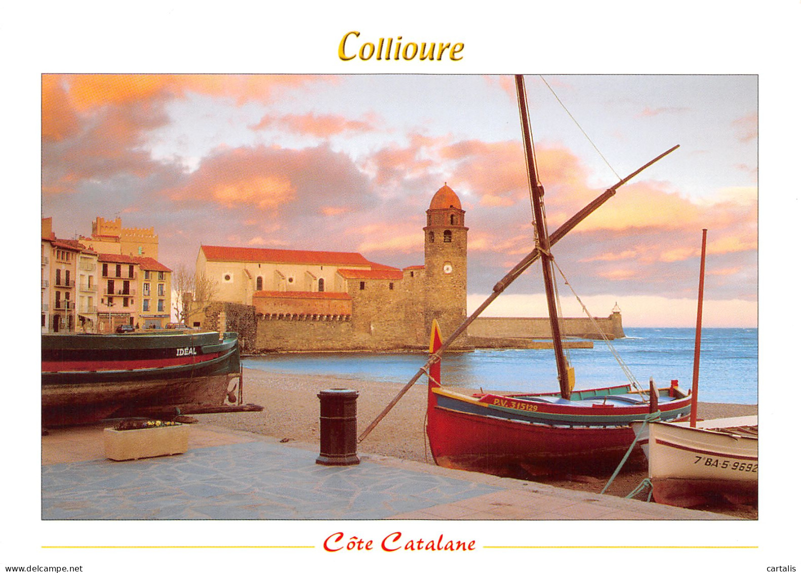 66-COLLIOURE-N°3802-A/0077 - Collioure