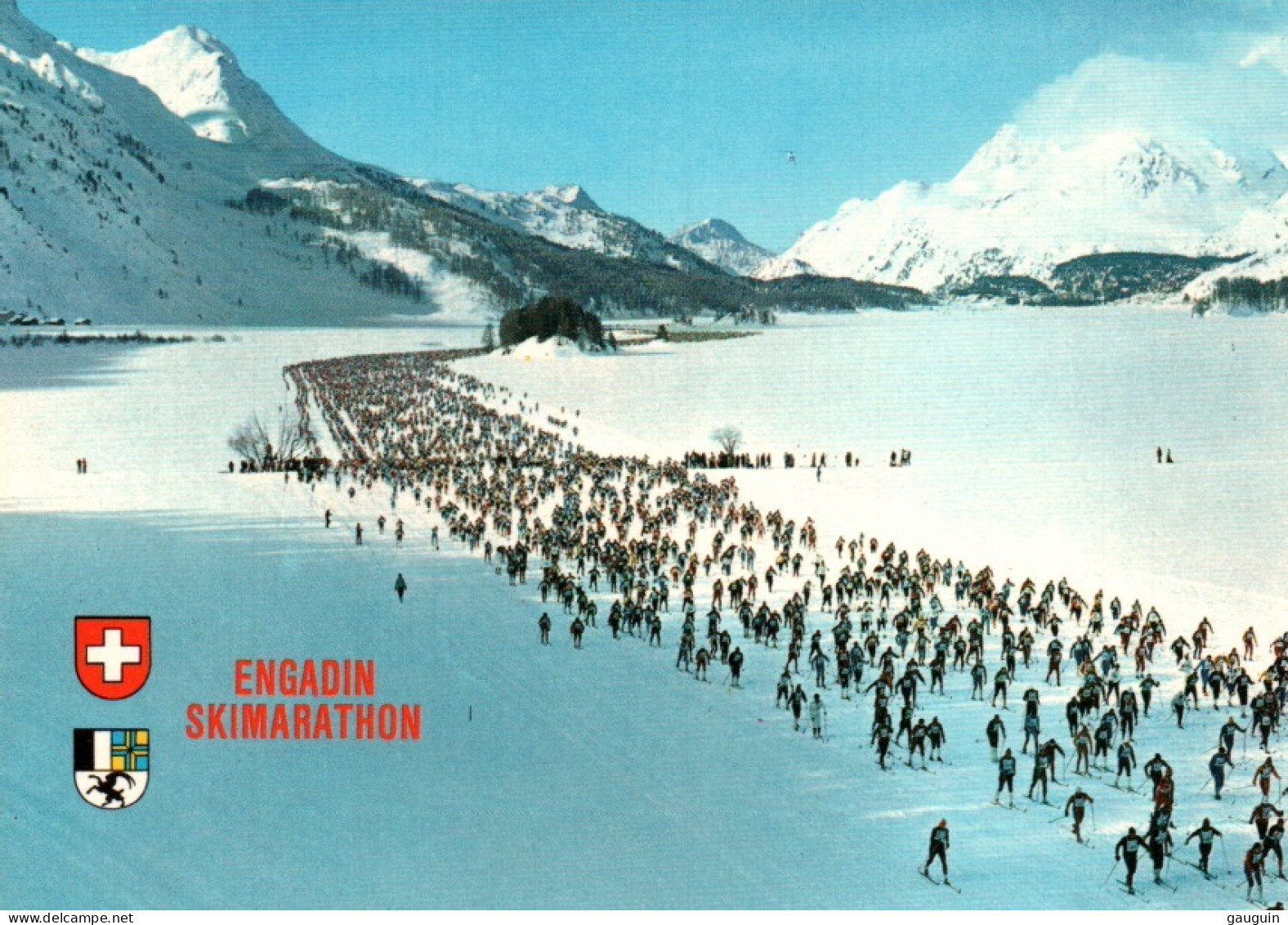 CPM - SILS Im Engadin/Segl - Marathon De SKI D'Engadine Les Skieurs De Fond Du Domaine De SILS - Édition Photoglob AG - Sils Im Engadin/Segl