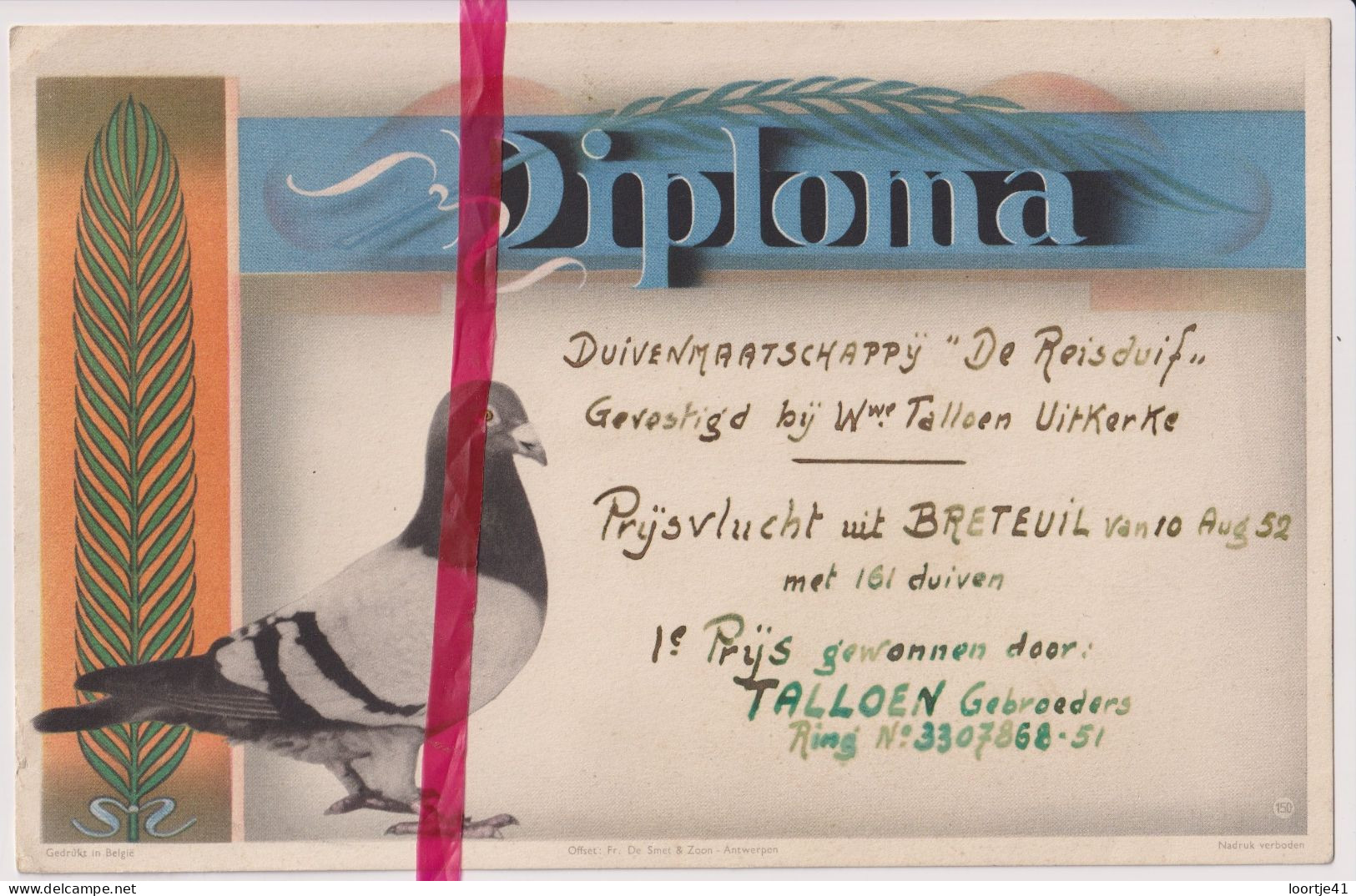 Diploma Duiven 1° Prijs Talloen Gebrs - Uitkerke 1952 - Maatschappij De Reisduif - Diploma's En Schoolrapporten