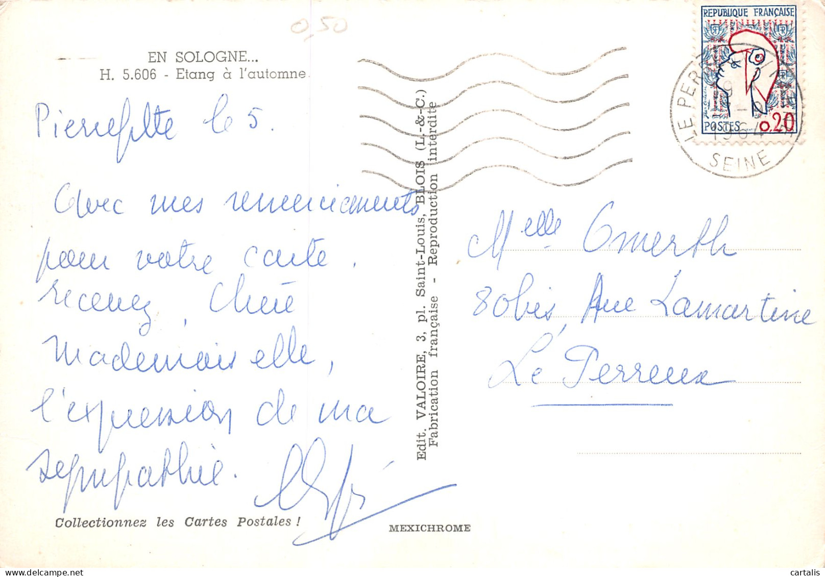 41-EN SOLOGNE-N°3802-D/0205 - Otros & Sin Clasificación