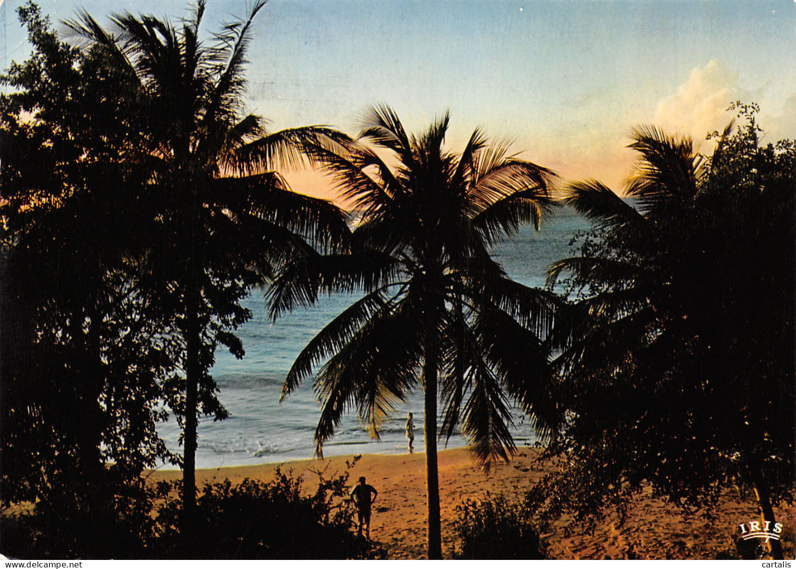 971-GUADELOUPE COUCHER DE SOLEIL SUR LA MER DES CARAIBES-N°3802-C/0203 - Other & Unclassified