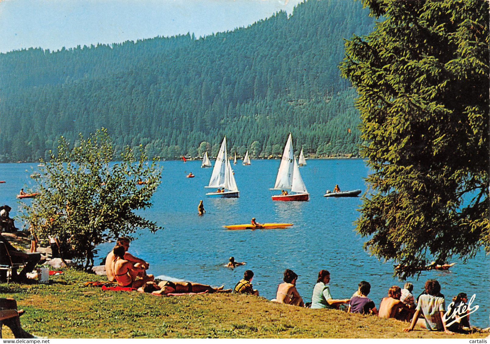 88-GERARDMER-N°3803-A/0063 - Gerardmer