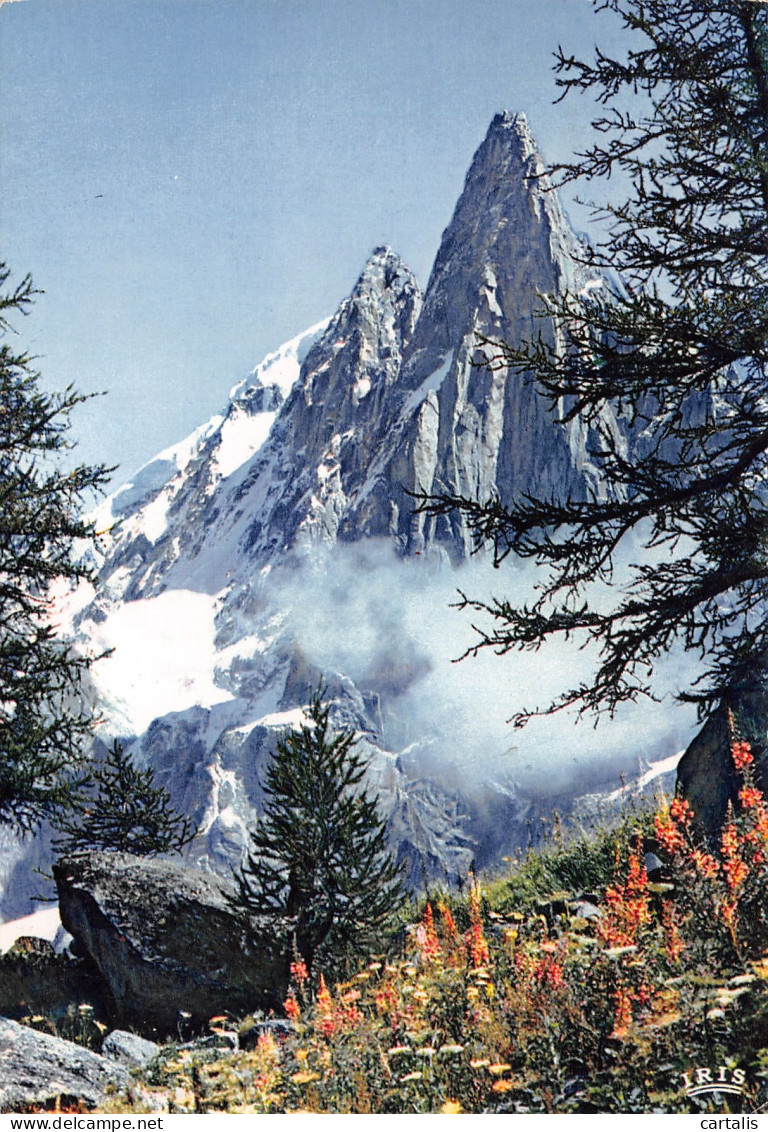 74-CHAMONIX-N°3803-D/0367 - Chamonix-Mont-Blanc