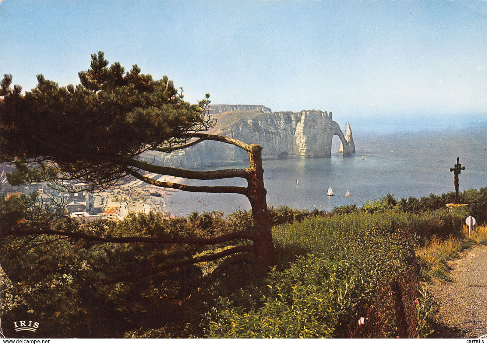 76-ETRETAT-N°3803-D/0229 - Etretat