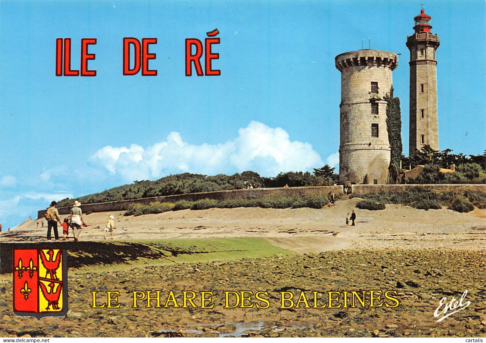 17-ILE DE RE-N°3803-B/0201 - Ile De Ré