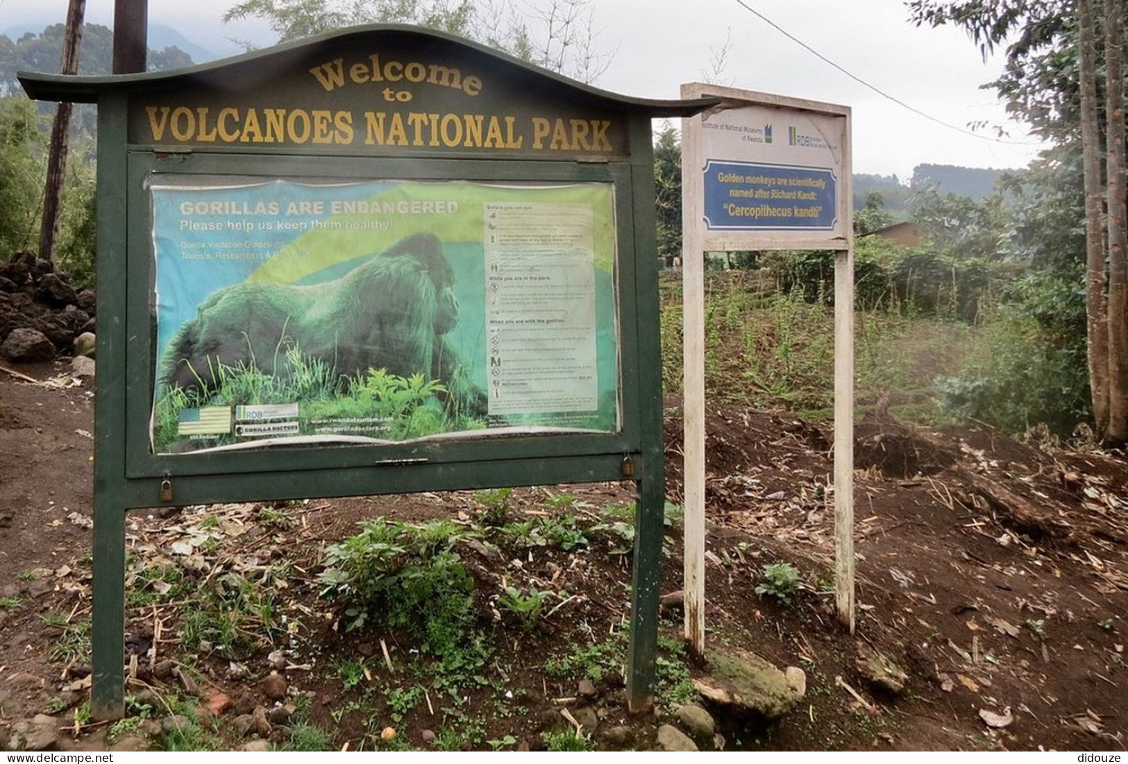 Rwanda - Volcanoes National Park - Entrée Du Parc - Panneau D'affichage - Parc Des Volcans - Zoo - CPM - Carte Neuve - V - Rwanda