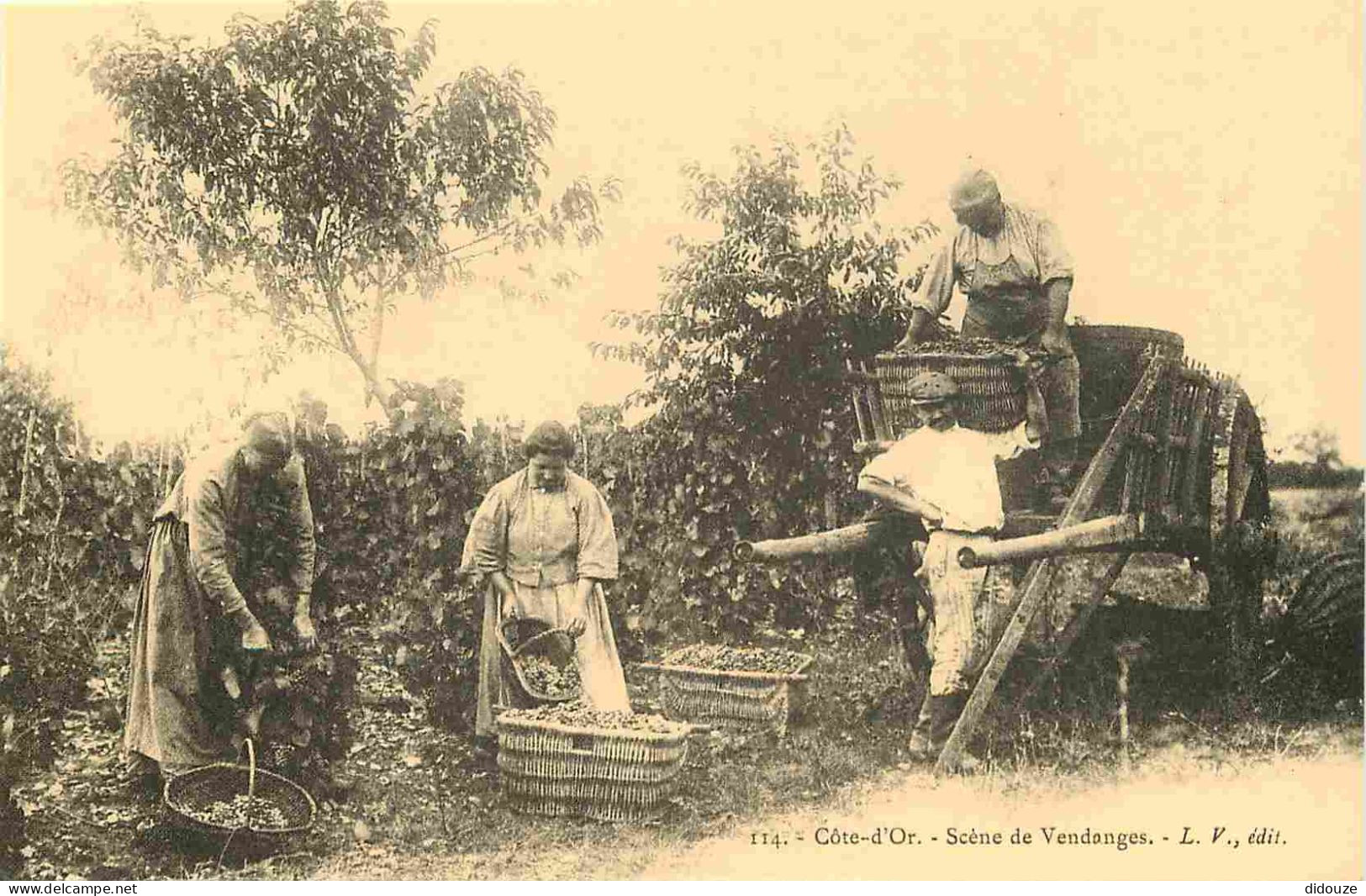 Reproduction CPA - Agriculture - Vigne - Côte D'Or - Scène De Vendanges - C'était La France - No 116 - CPM Format CPA -  - Wijnbouw