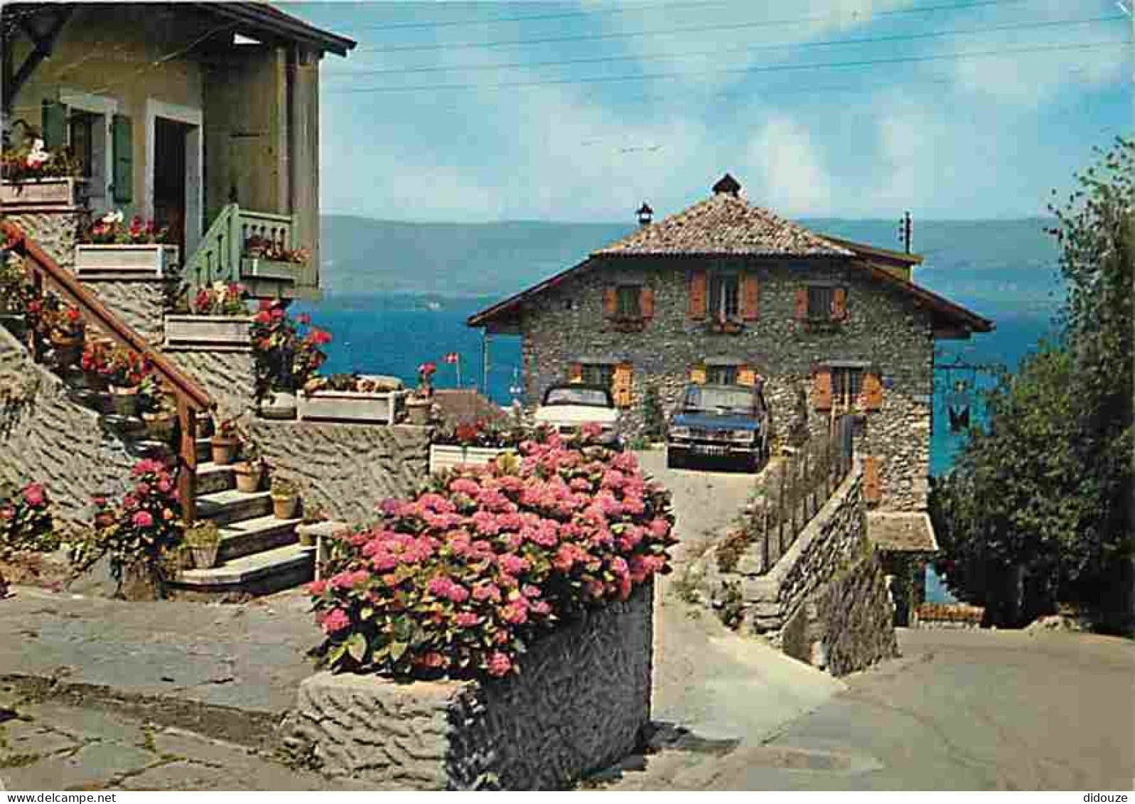 Automobiles - Yvoire - L'Hotel Du Port - Le Lac Léman - La Rive Suisse - Flamme Postale Escrime 1972 - CPM - Voir Scans  - Passenger Cars