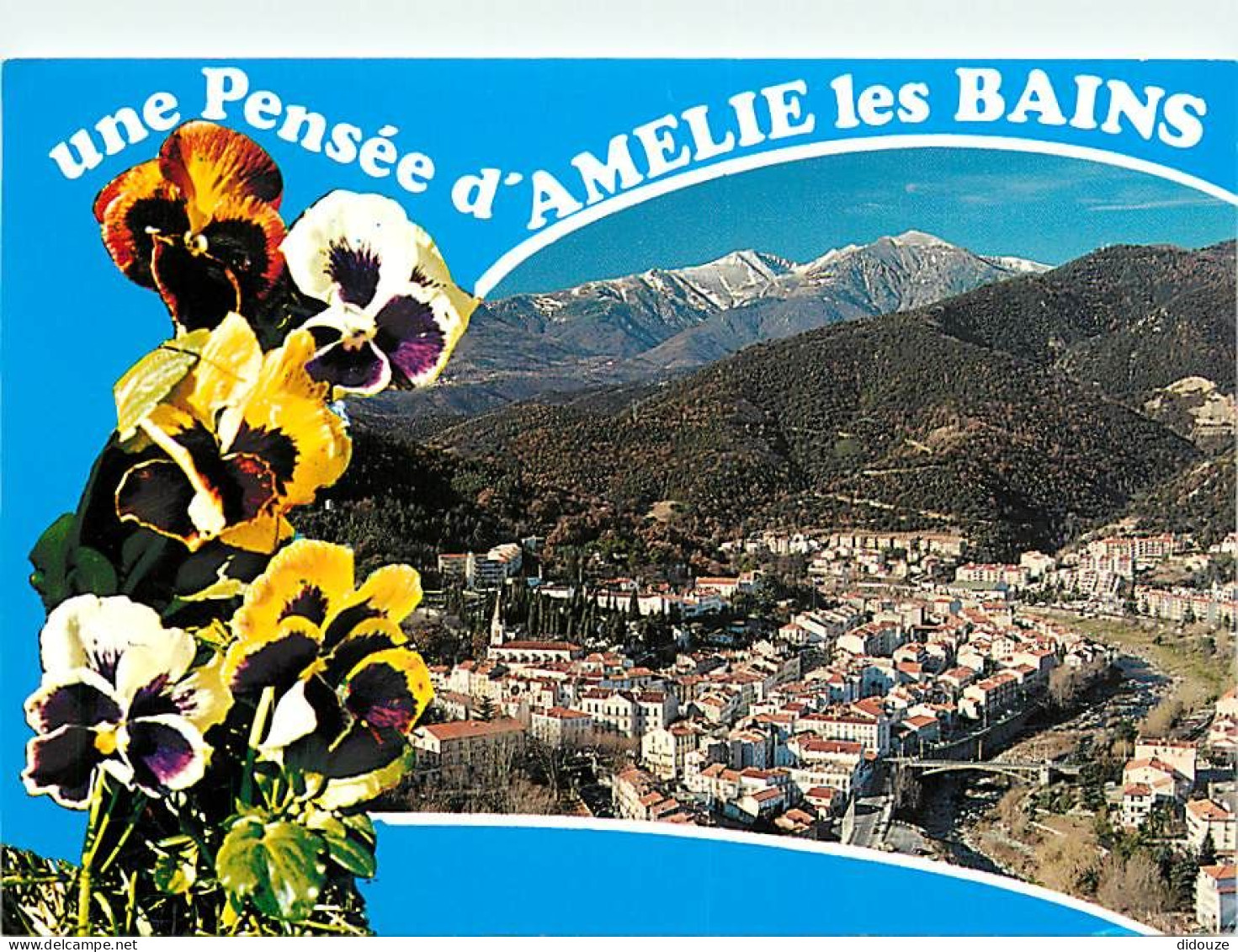66 - Amélie Les Bains - Vue Générale Aérienne - Fleurs - Pensées - CPM - Voir Scans Recto-Verso - Otros & Sin Clasificación