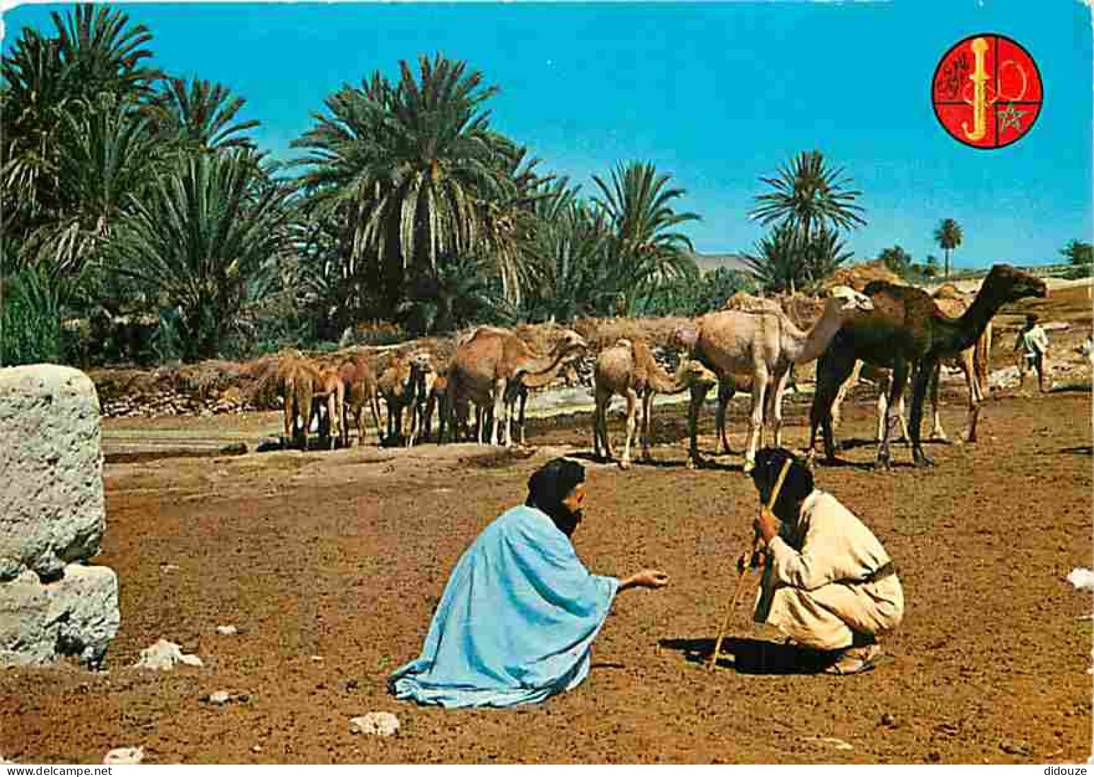 Maroc - Hommes Bleus Et Leurs Chameaux à L'oasis - Carte Neuve - CPM - Voir Scans Recto-Verso - Sonstige & Ohne Zuordnung