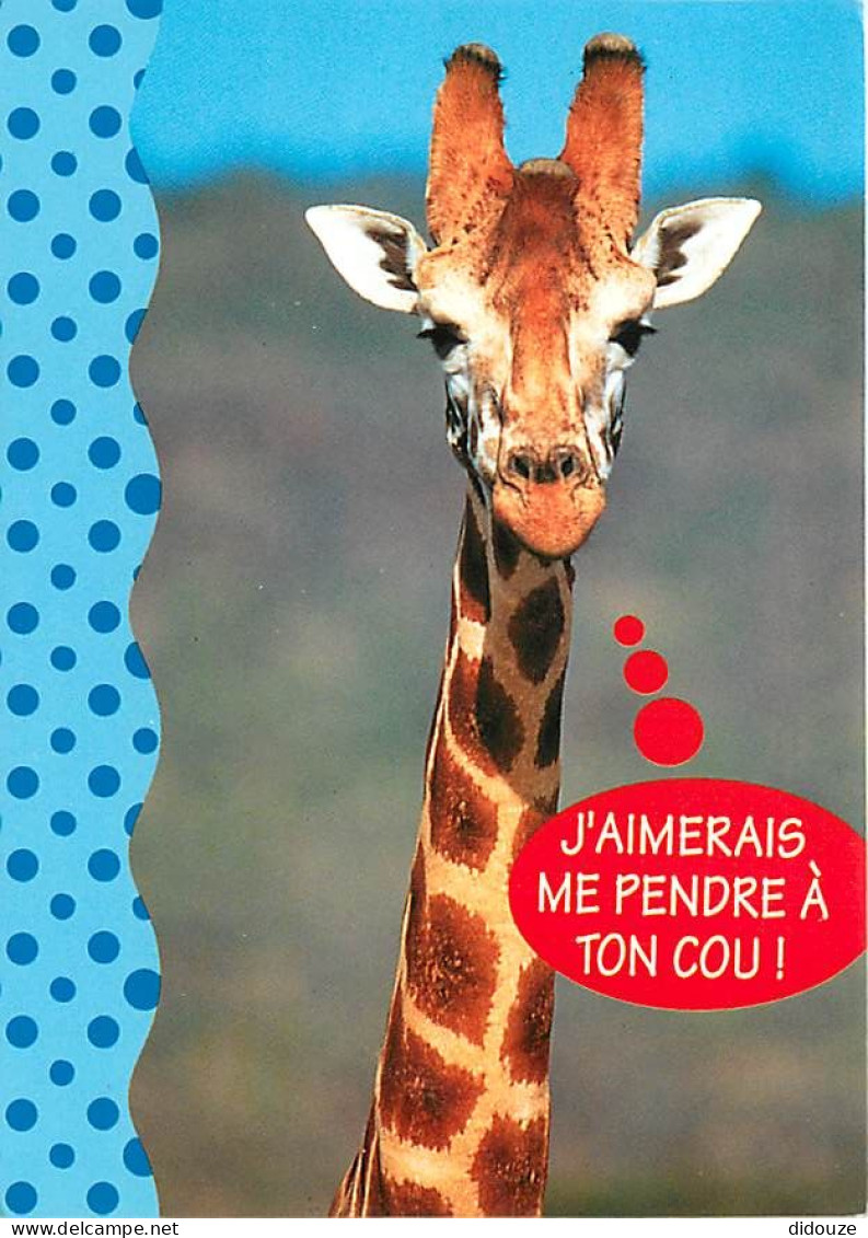 Animaux - Girafes - Carte Humoristique - CPM - Voir Scans Recto-Verso - Giraffe