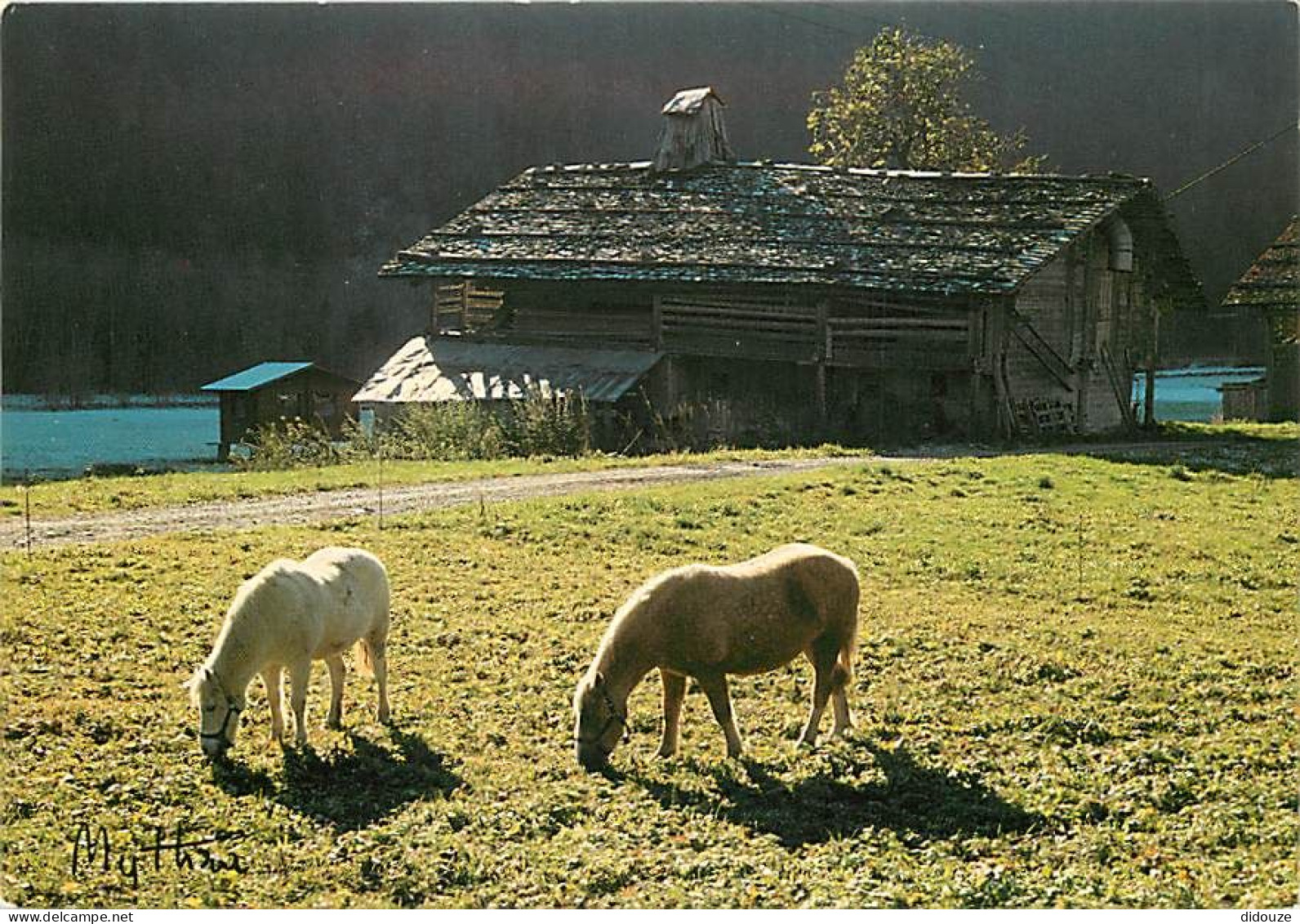 Animaux - Chevaux - Habitat Montagnard - Carte Neuve - CPM - Voir Scans Recto-Verso - Chevaux