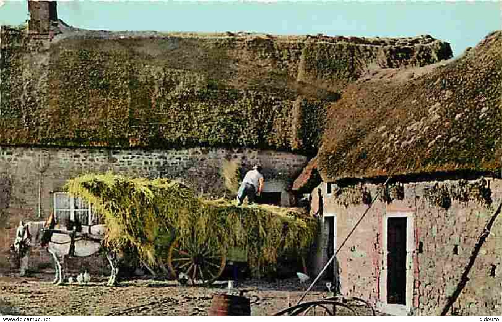 Animaux - Chevaux - Normandie - Ferme Normande - Charue Remplie De Fourrage - CPM - Voir Scans Recto-Verso - Horses