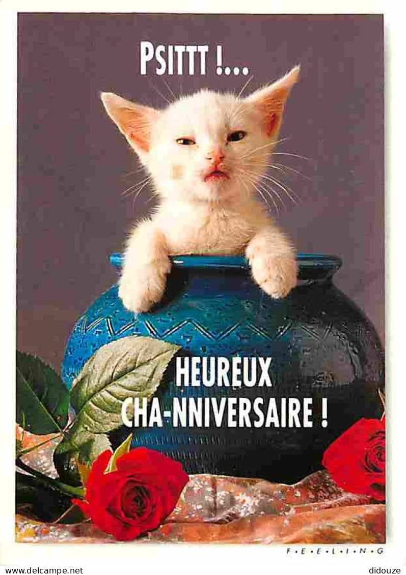 Animaux - Chats - Chatons - Carte Humoristique - CPM - Voir Scans Recto-Verso - Cats