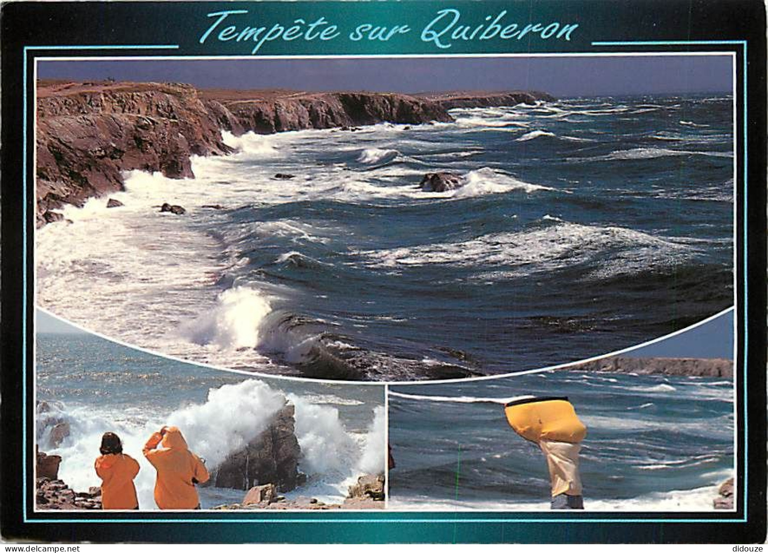 56 - Presqu'Ile De Quiberon - Multivues - CPM - Voir Scans Recto-Verso - Quiberon