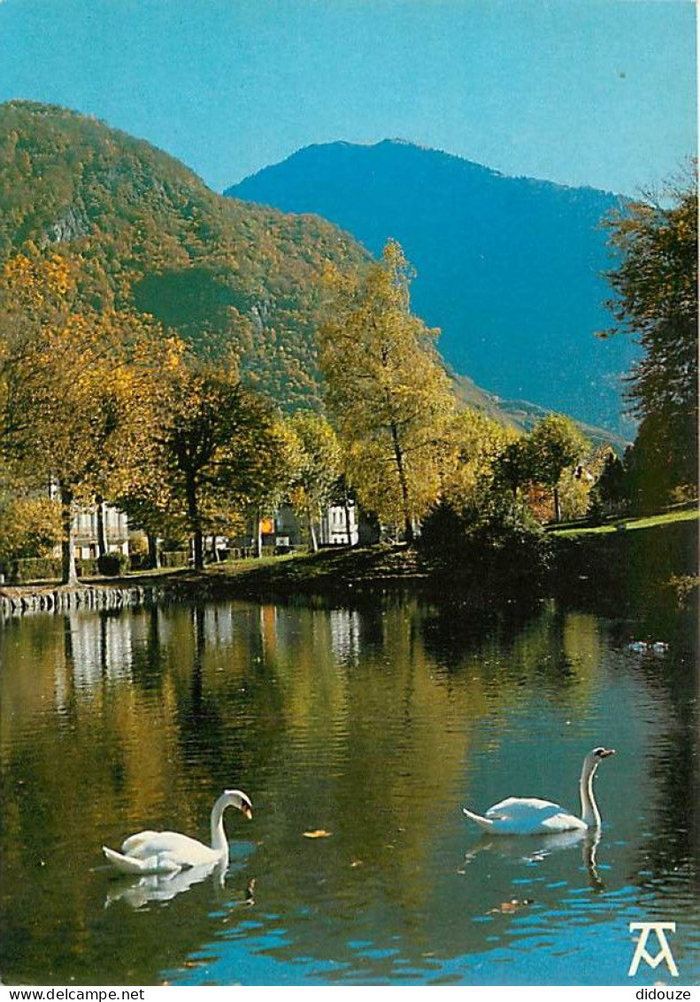 31 - Luchon - CPM - Voir Scans Recto-Verso - Luchon