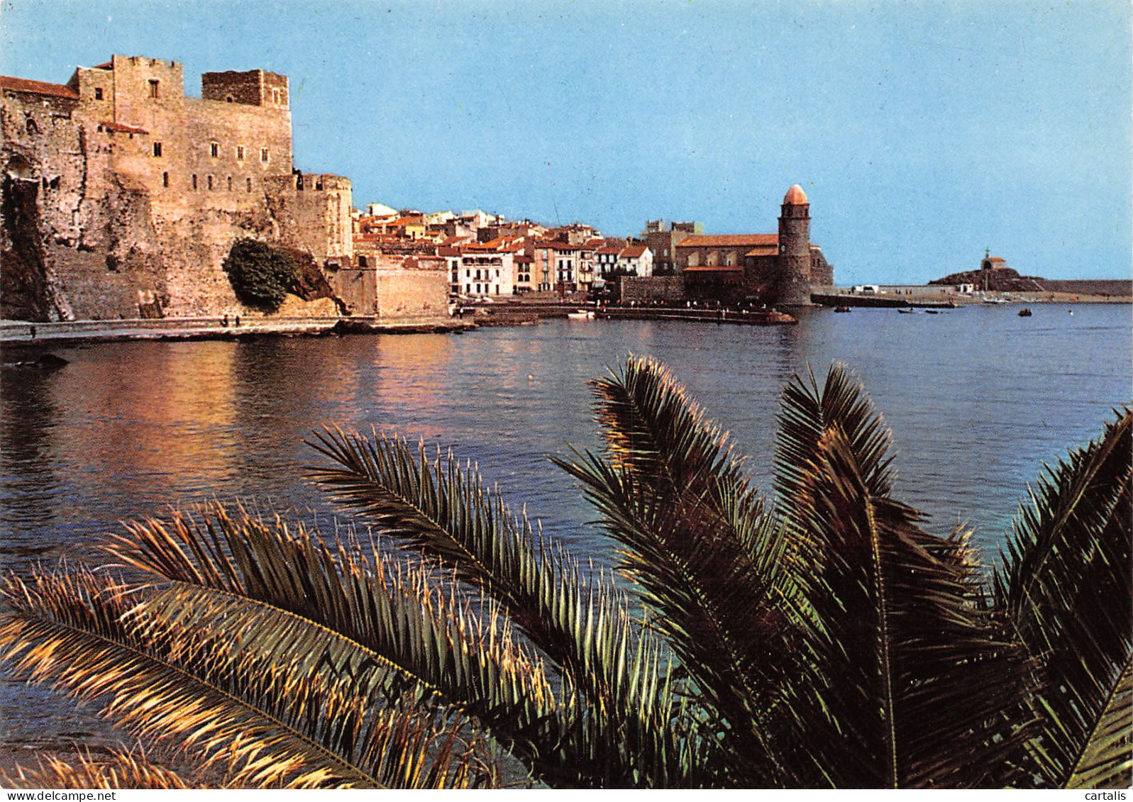 66-COLLIOURE-N°3804-B/0335 - Collioure