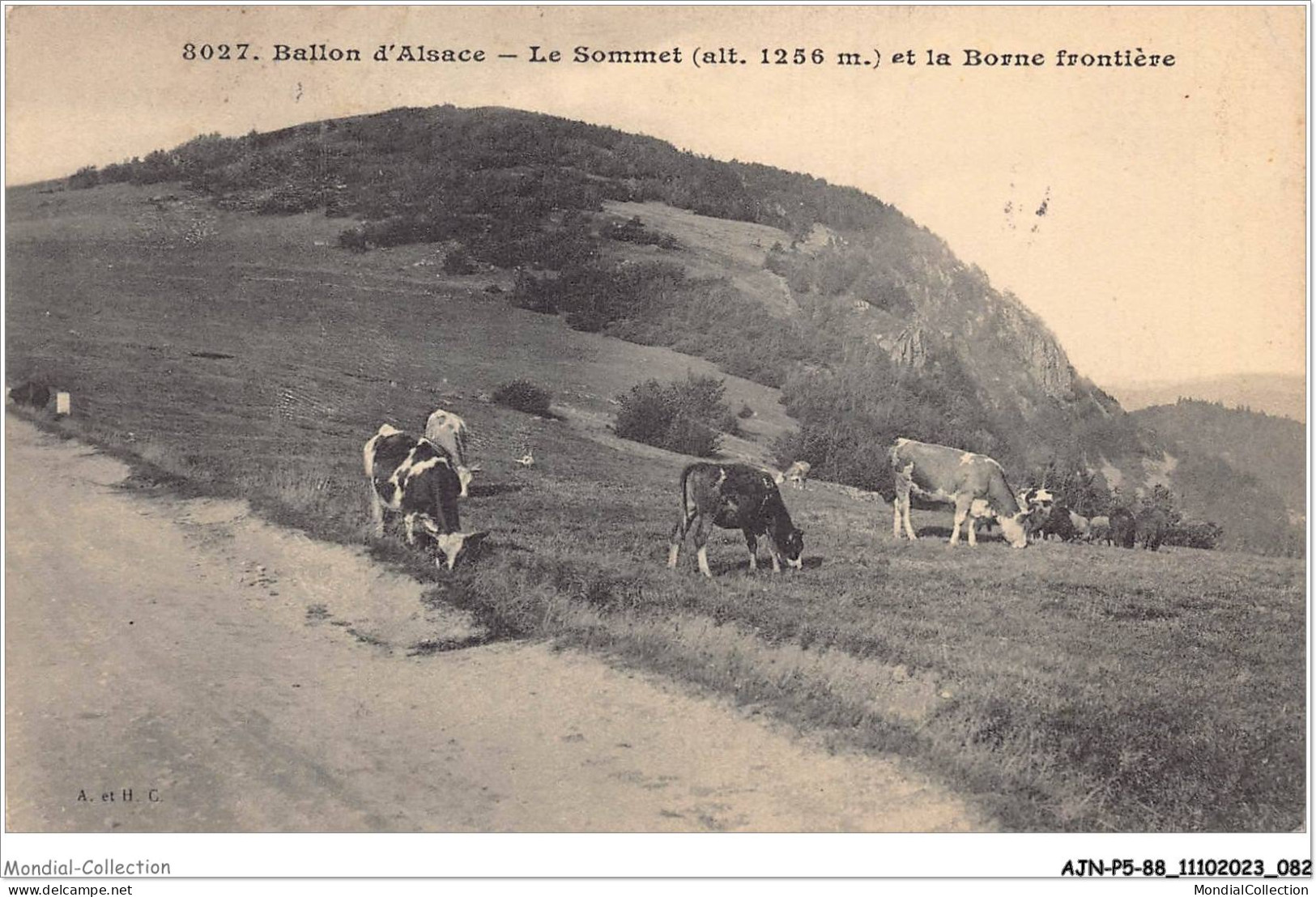 AJNP5-88-0485 - BALLON D'ALSACE - Le Sommet Et La Borne Frontière - Autres & Non Classés