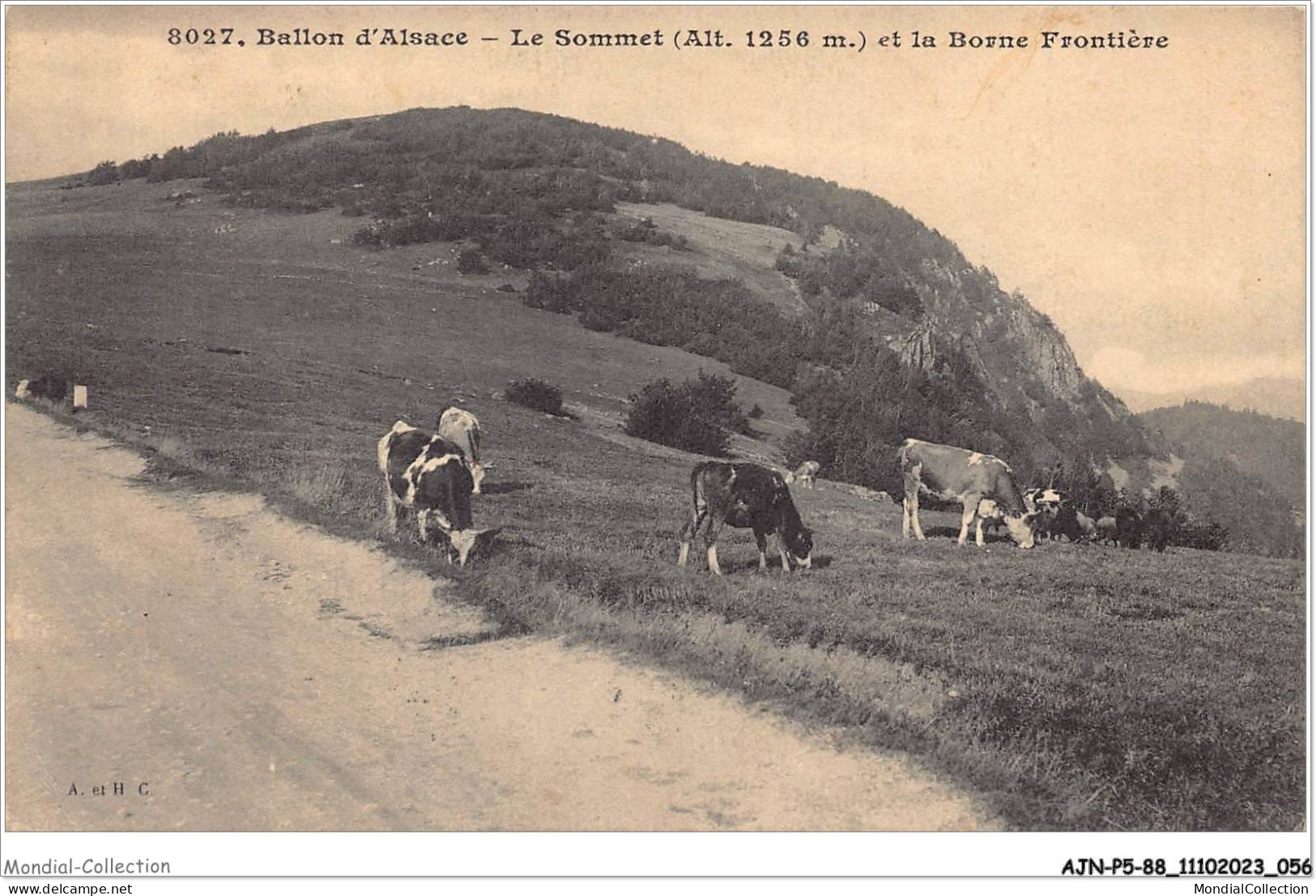 AJNP5-88-0472 - BALLON D'ALSACE - Le Sommet Et La Borne Frontière - Other & Unclassified