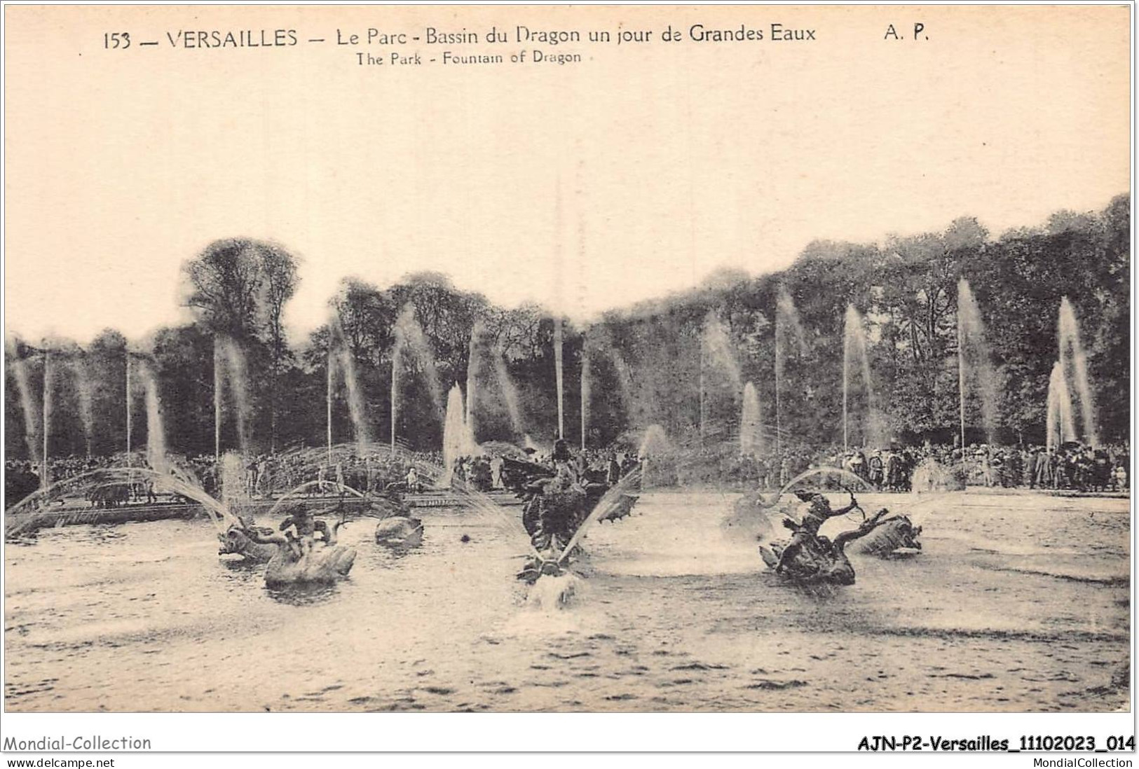 AJNP2-78-0119 - VERSAILLES - Le Parc - Bassin Du Dragon Un Jour Des Grandes Eaux - Versailles