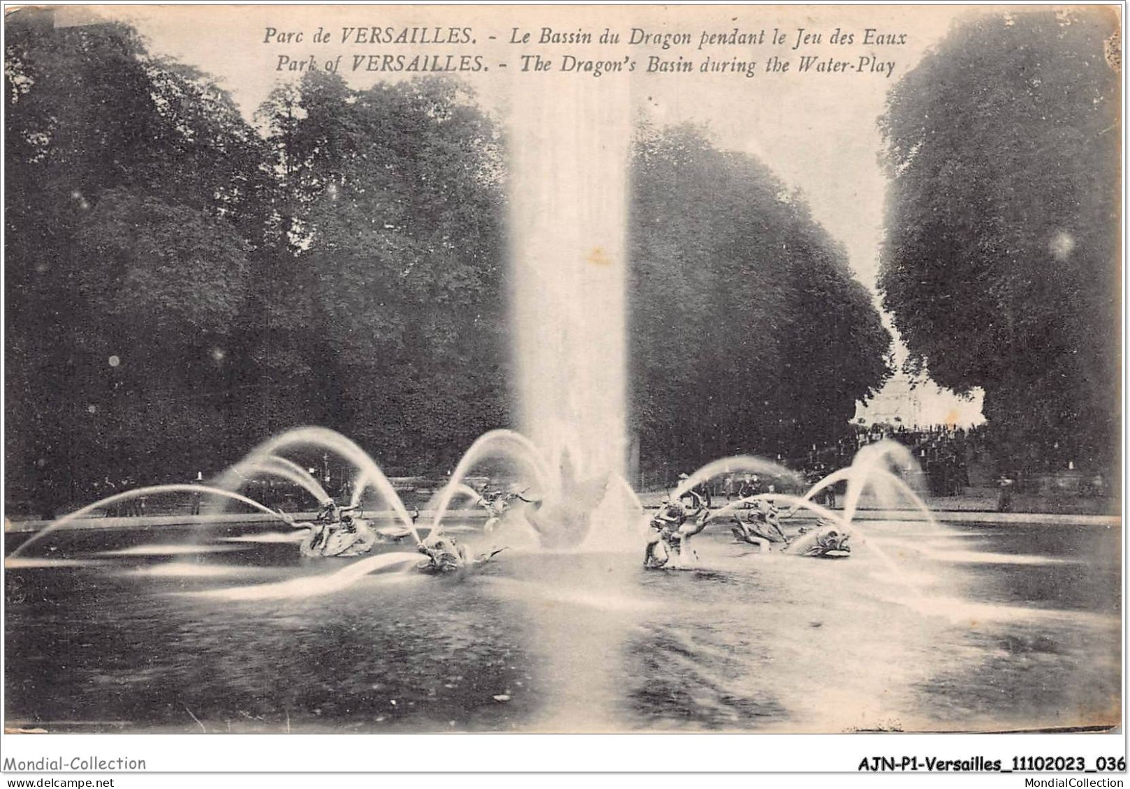 AJNP1-78-0019 - VERSAILLES - Parc De Versailles - Le Bassin Du Dragon Pendant Le Jeu Des Eaux - Versailles