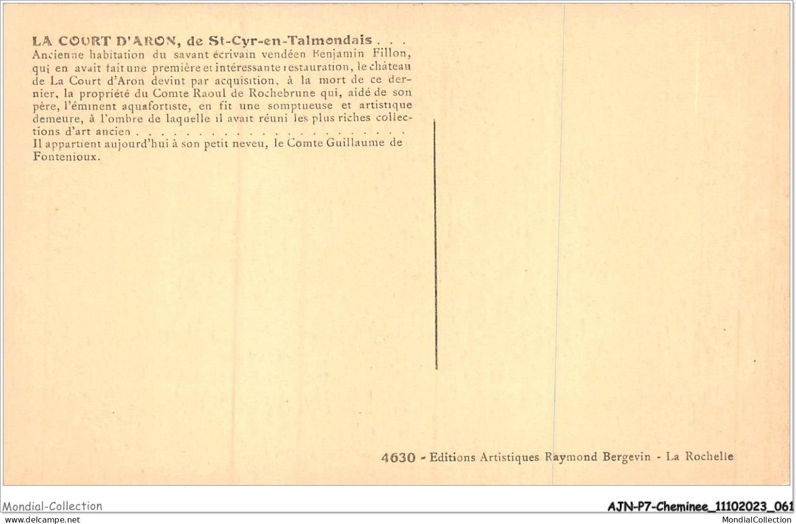 AJNP7-0735 - CHEMINEE - La Court D'aron De St-cyr-en-talmondais - Ancienne Habitation Du Savant écrivain Vendéen - Andere & Zonder Classificatie