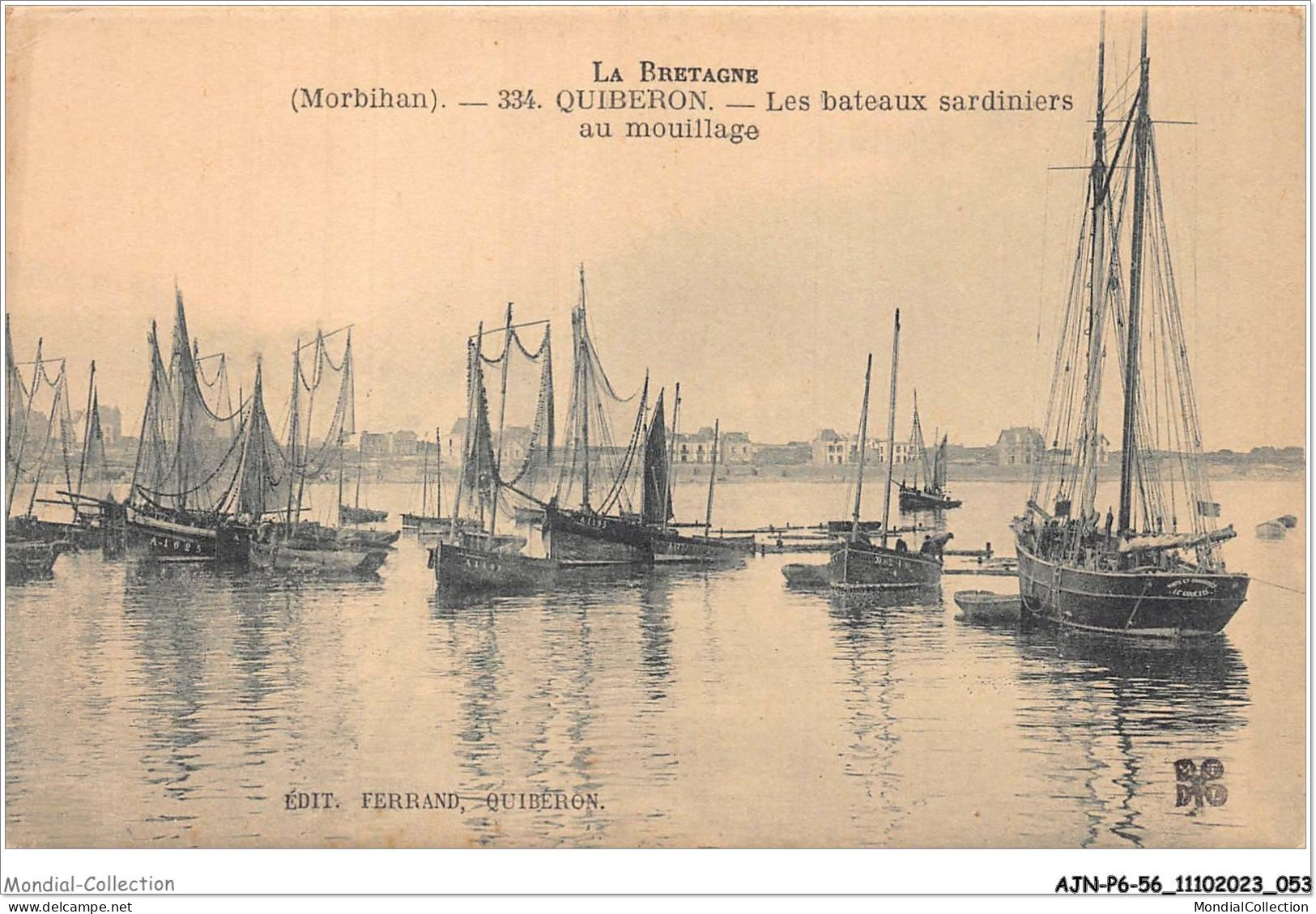 AJNP6-56-0618 - QUIBERON - Les Bateaux Sardiniers Au Mouillage - Quiberon