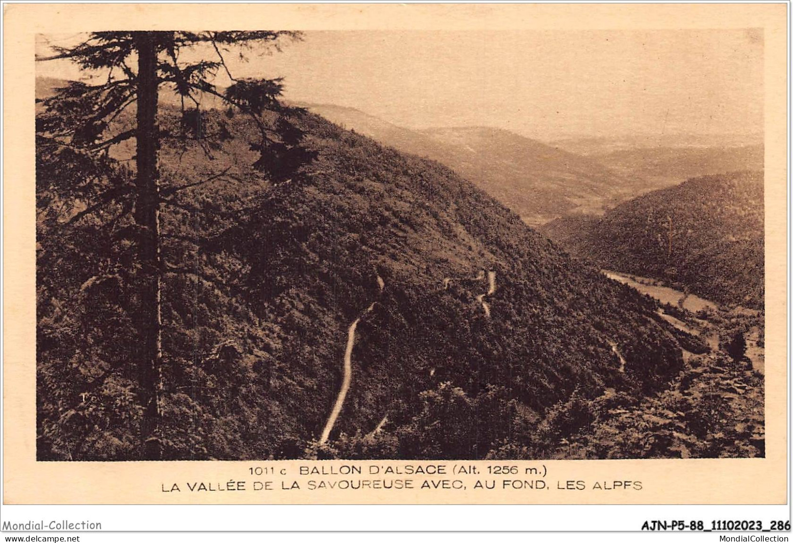 AJNP5-88-0587 - BALLON D'ALSACE - La Vallée De La Savoureuse Avec Au Fond Les Alpes - Sonstige & Ohne Zuordnung
