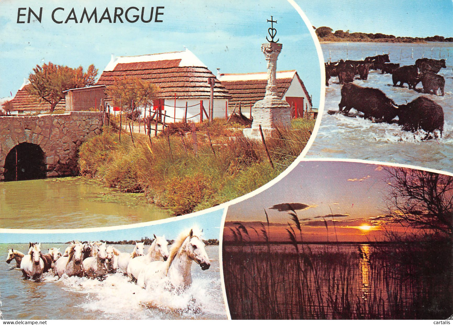 13-CAMARGUE-N°3805-D/0245 - Autres & Non Classés