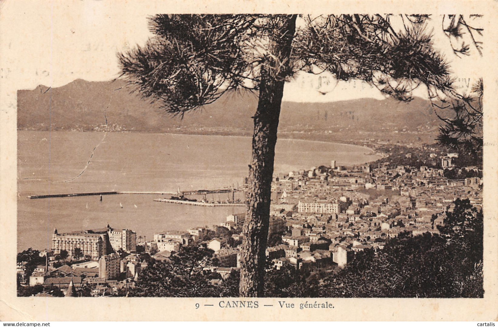 06-CANNES-N°3805-E/0183 - Cannes