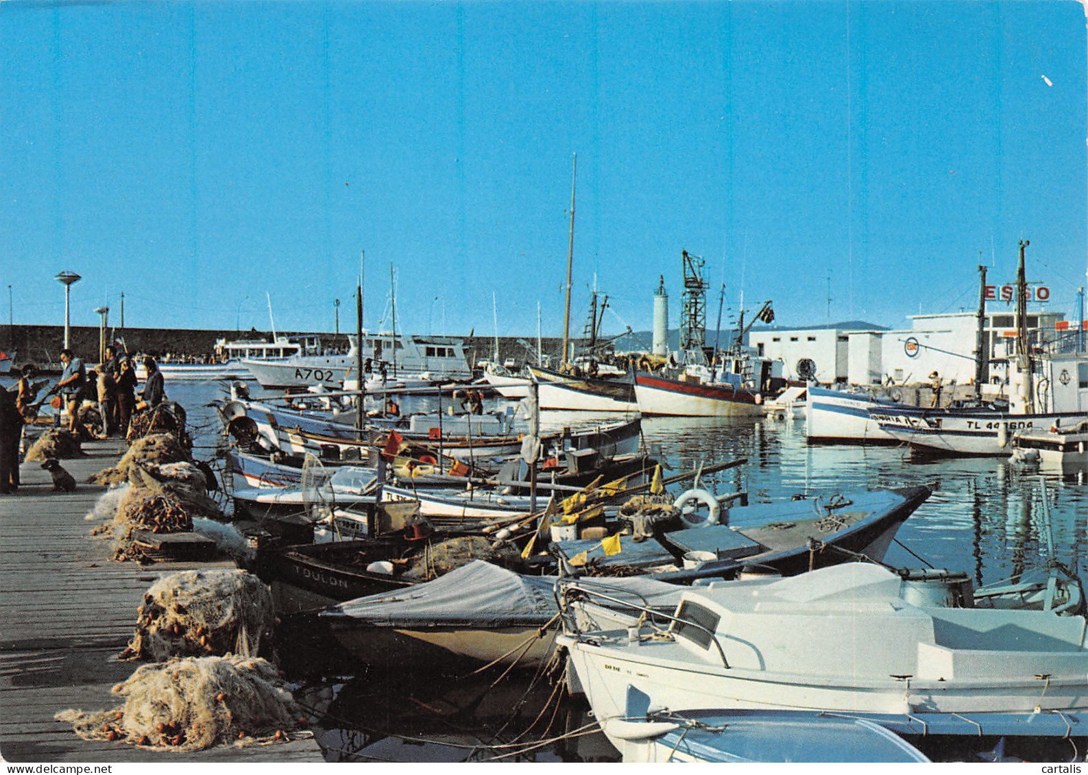 83-SAINT RAPHAEL-N°3806-D/0269 - Saint-Raphaël